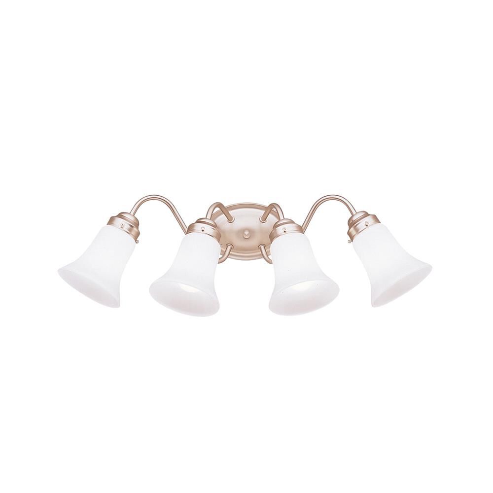 25 Inch 4 Light Bath Vanity Light by Kichler Lighting