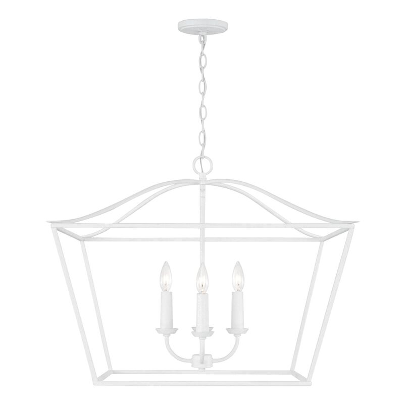 Grady 38 Inch Cage Pendant by Capital Lighting Fixture Company
