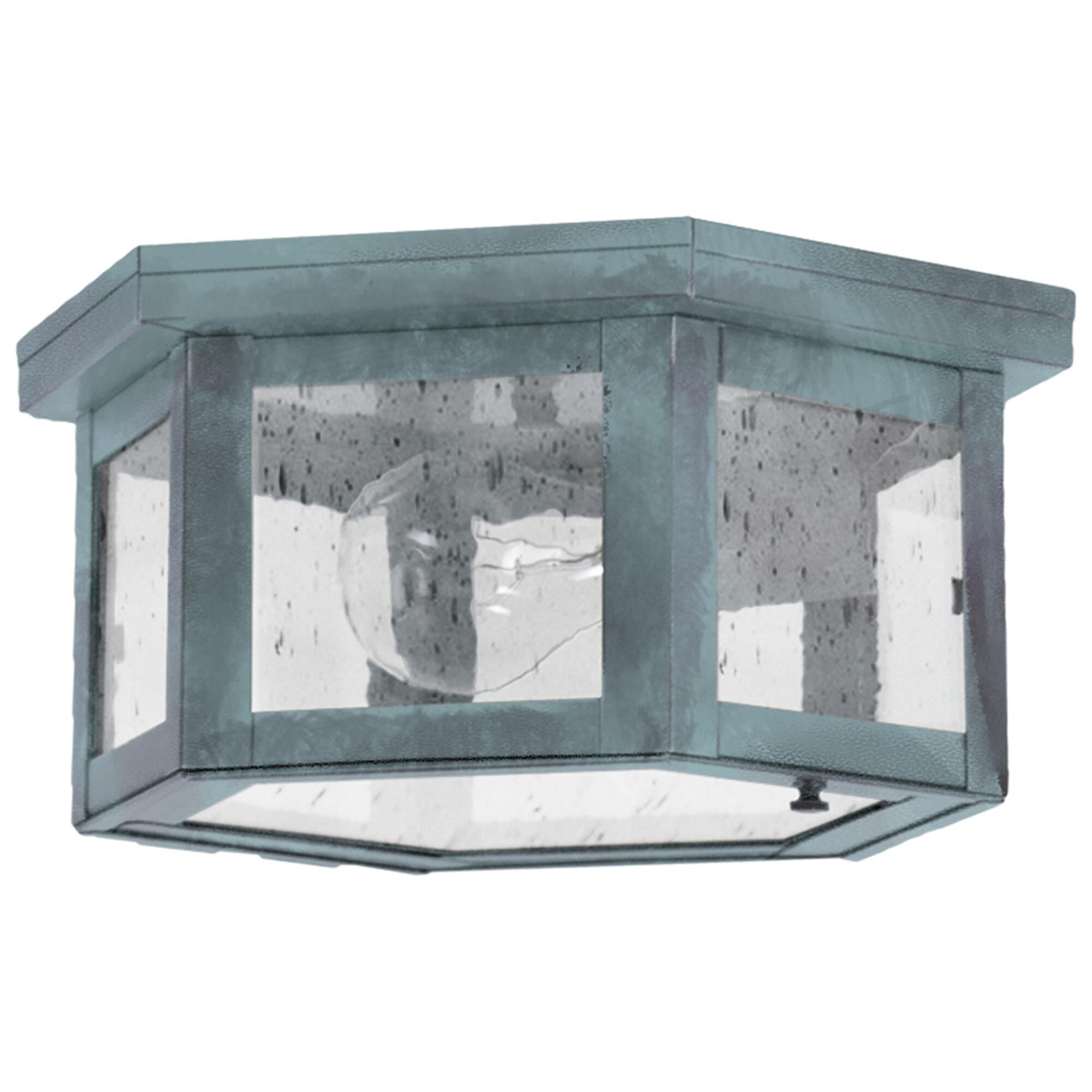 Williams 10 Inch Outdoor Flush Mount,