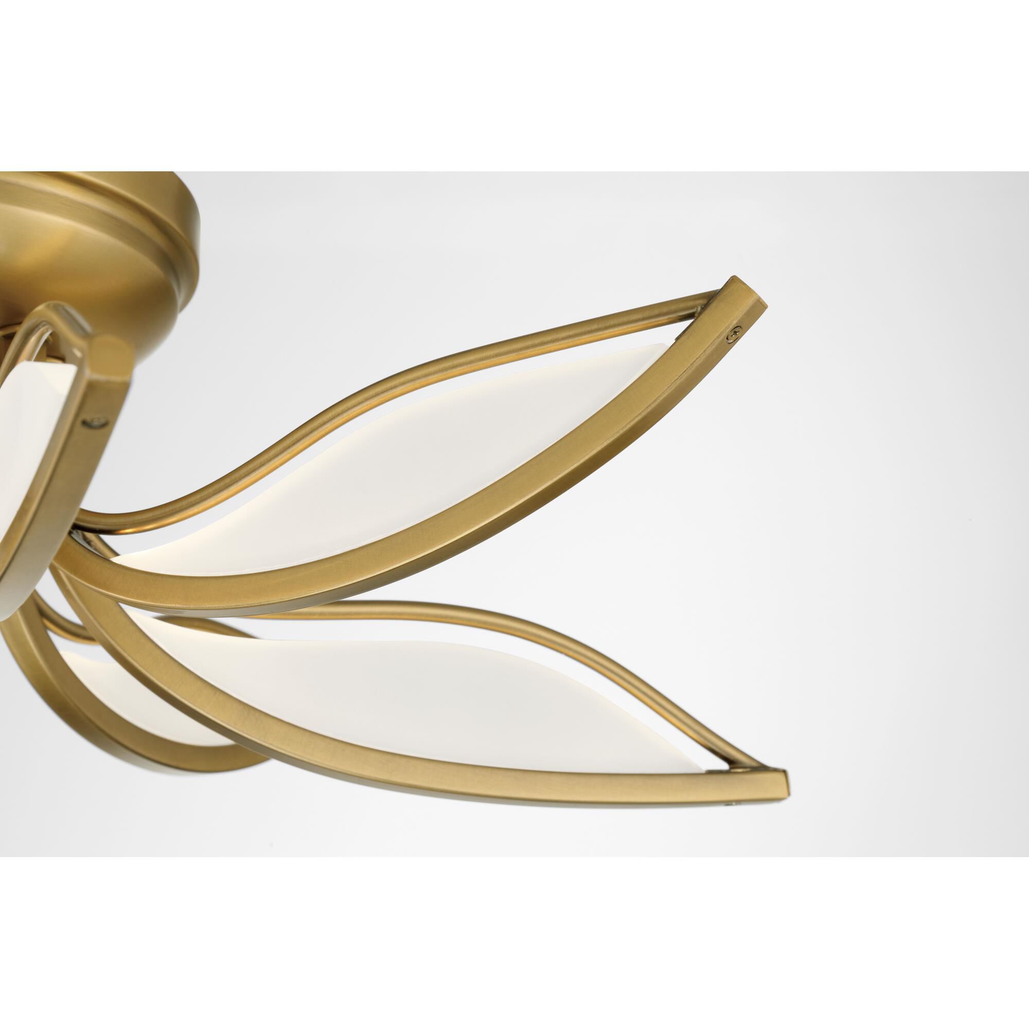 Papilio 21 Inch Flush Mount by Minka Lavery