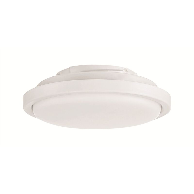 Phoebe 6 Inch Fan Light Kit by Craftmade