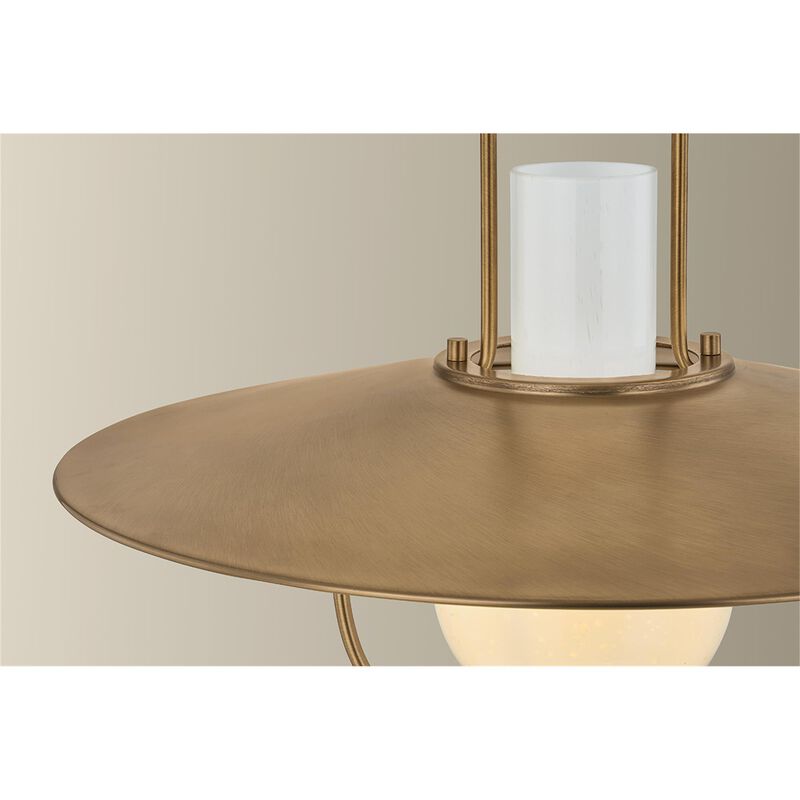 Cahill 20 Inch Large Pendant by Troy Lighting