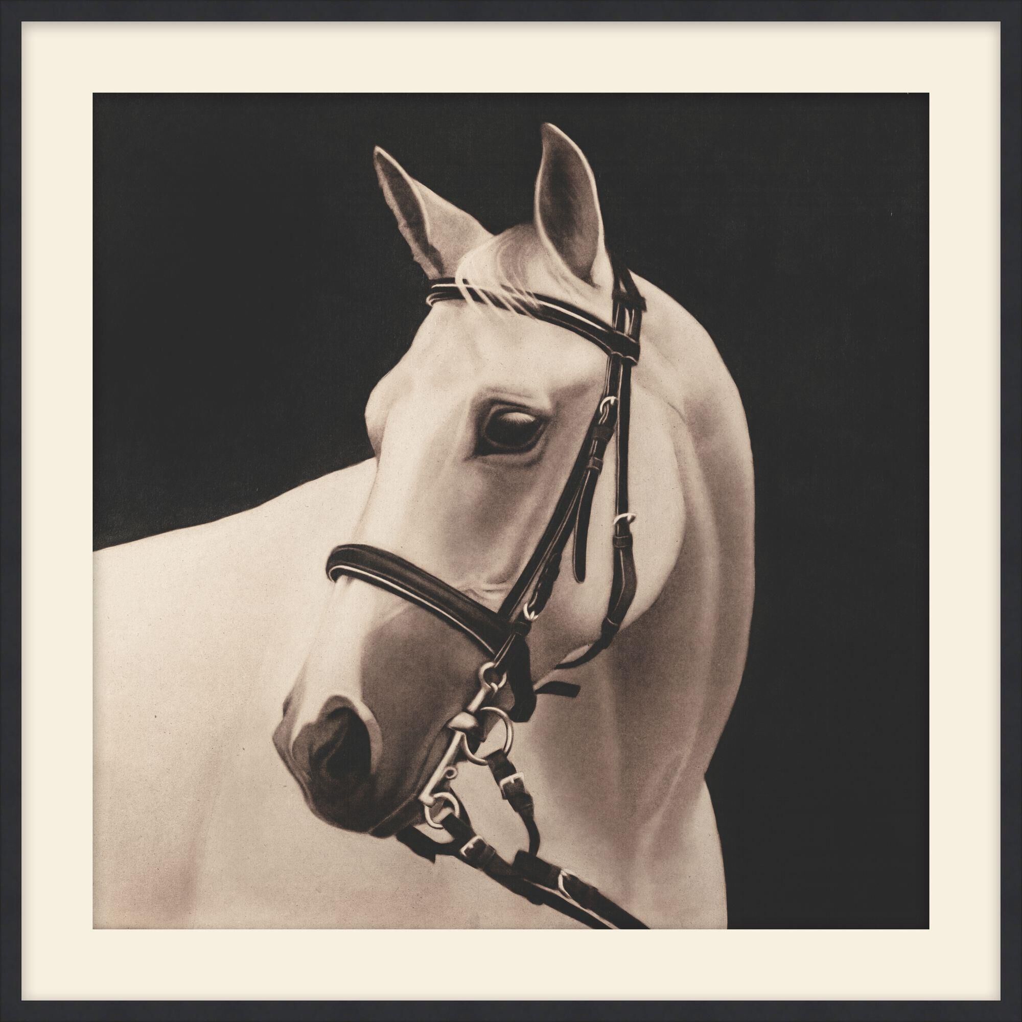 Studio L57 Narrative Comrade Print by LEVEL57