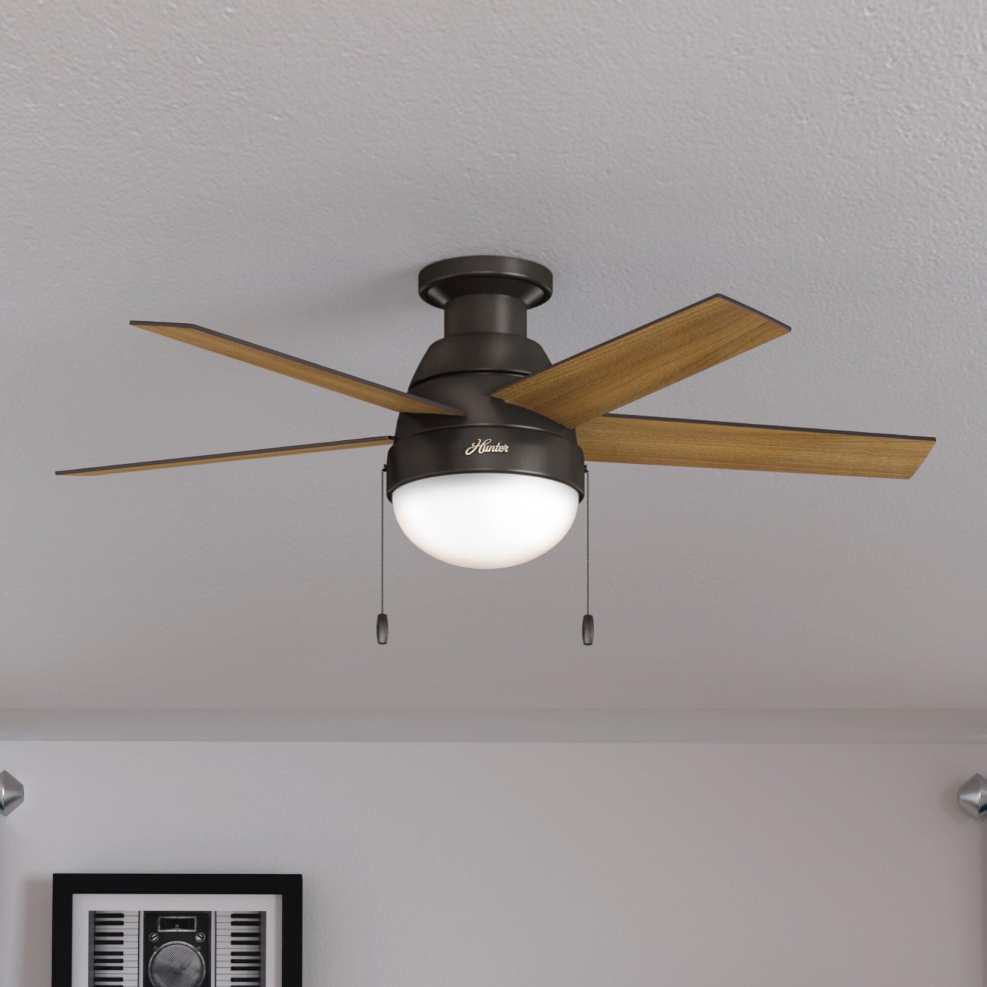 Anslee 46 Inch Ceiling Fan with Light Kit by Hunter Fan