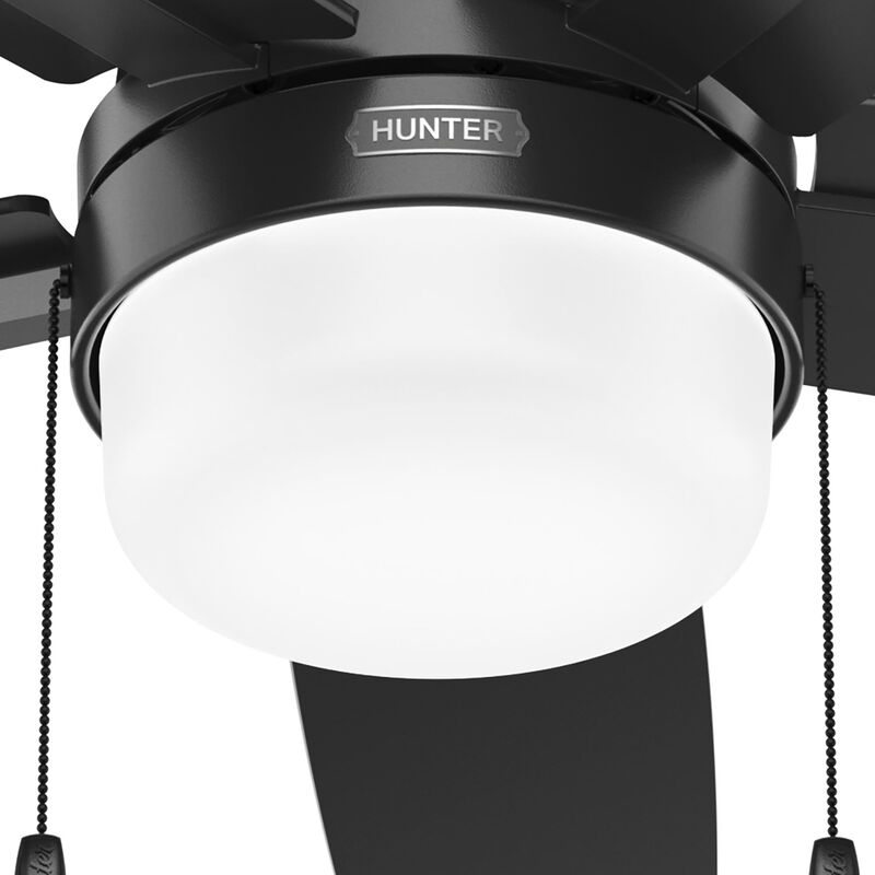 Anisten 52 Inch Ceiling Fan with Light Kit by Hunter Fan