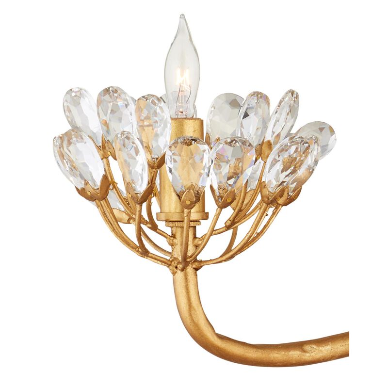 Agave Americana 42 Inch 22 Light Chandelier by Currey and Company
