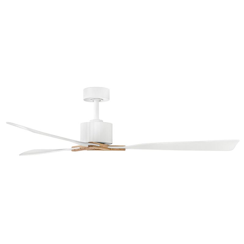 Rafter 60 Inch Ceiling Fan by Hinkley
