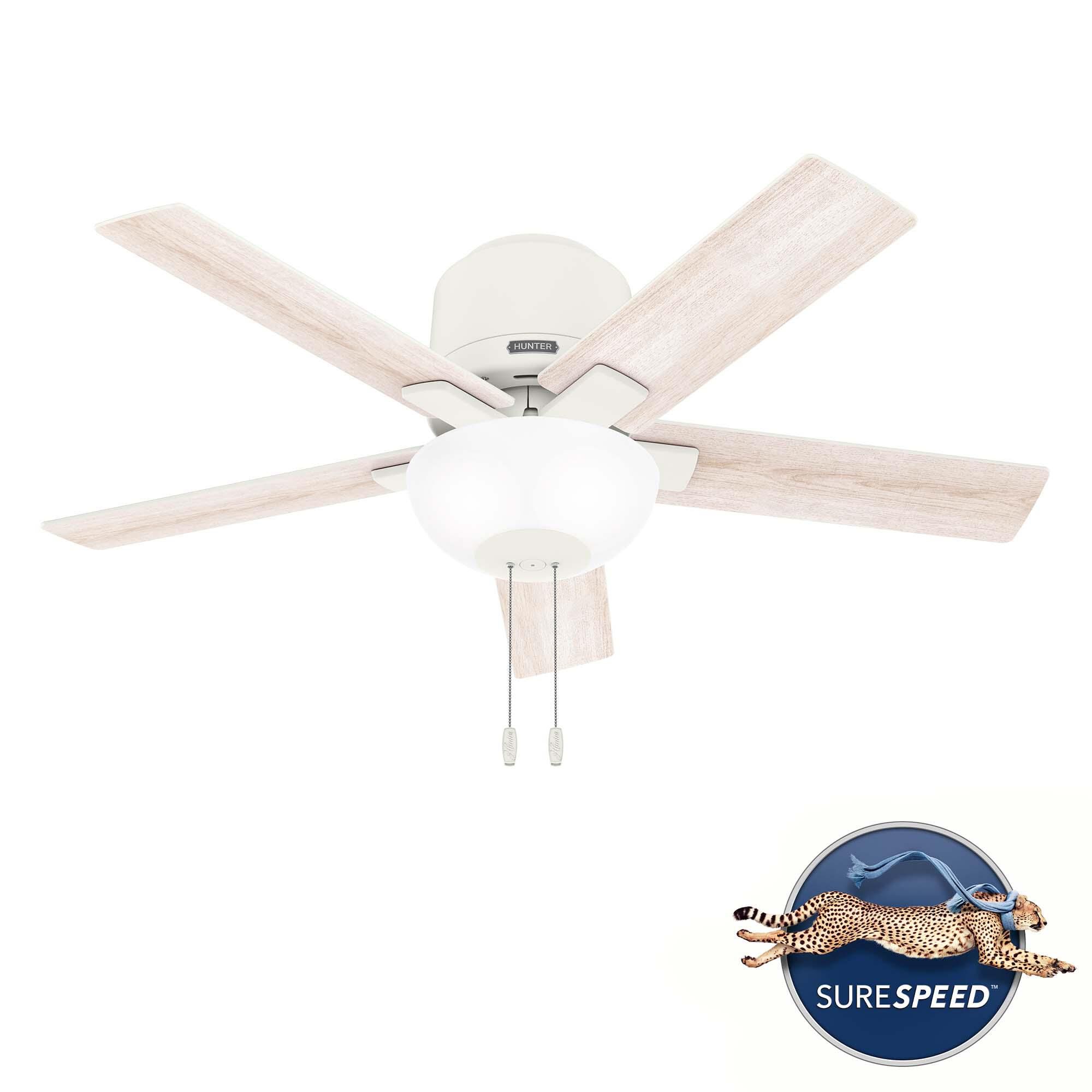 Fitzgerald Ceiling Fan by Hunter Fan