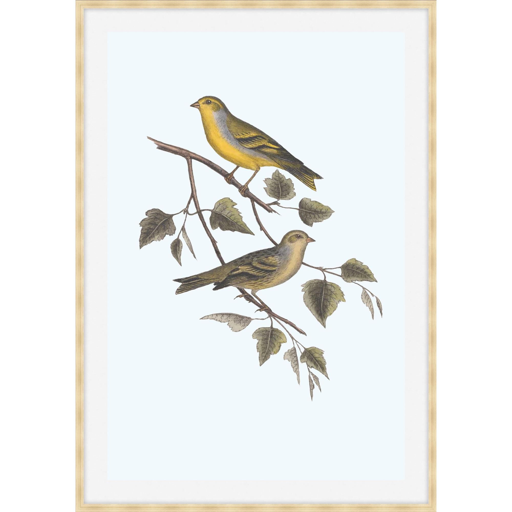 Nesting Navigators Blue Print by LEVEL57