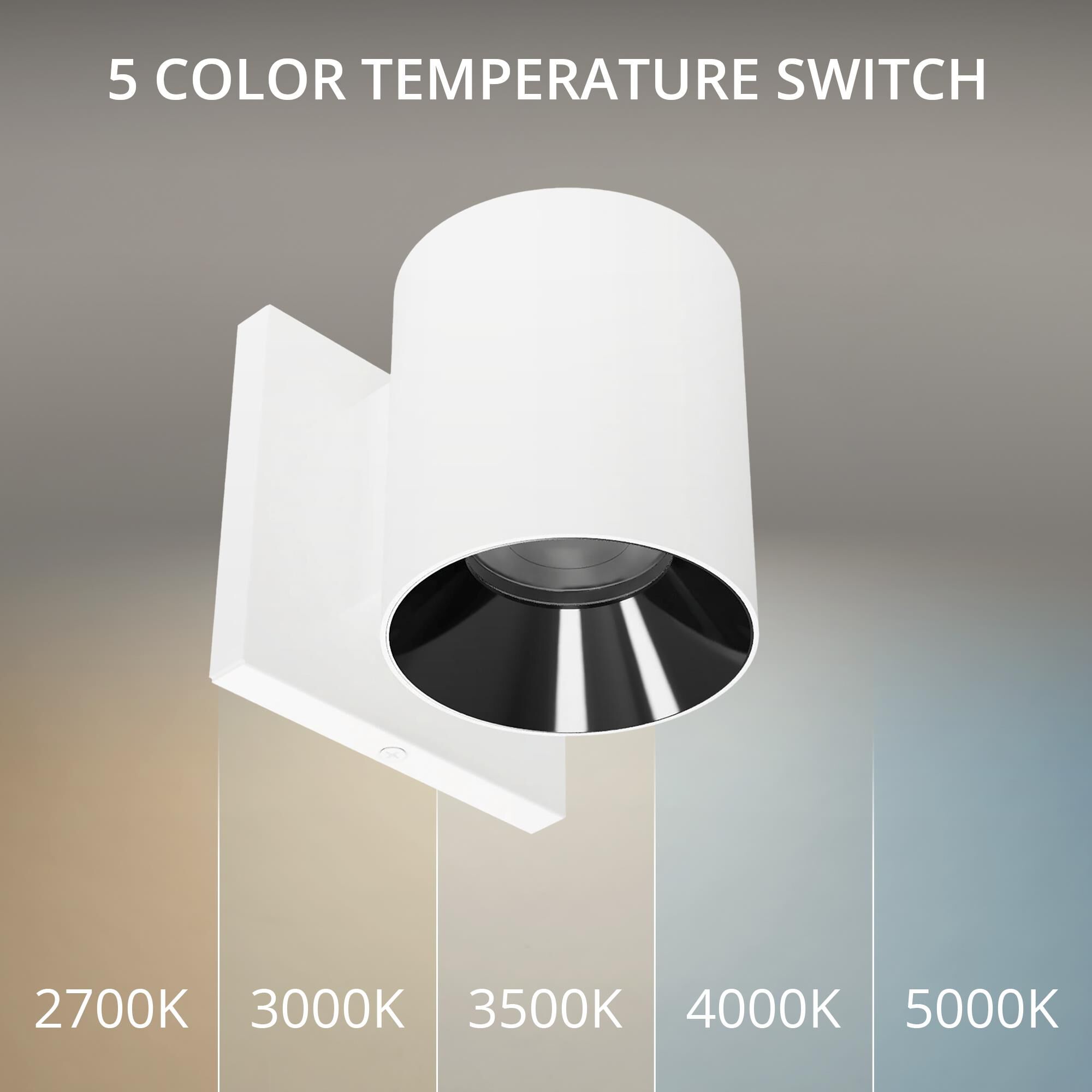 Zoron 4 Inch Outdoor Wall Light by WAC Lighting