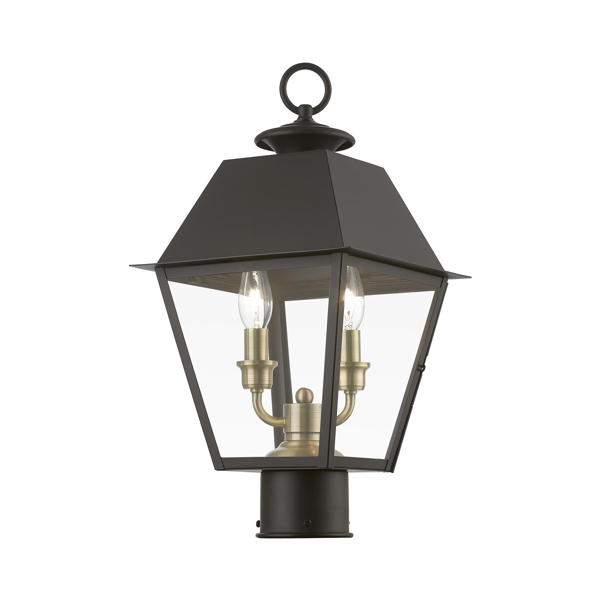 Shown in Bronze with Antique Brass Finish Cluster finish and Clear glass