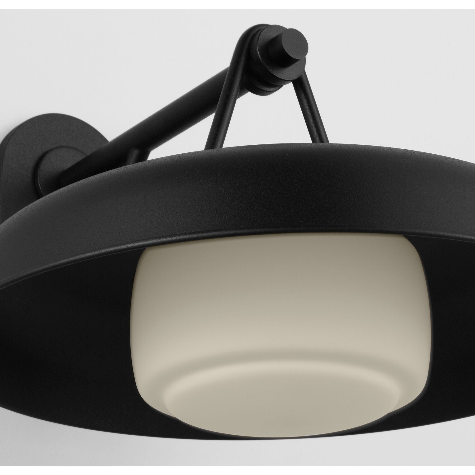 Liora 11 Inch Outdoor Wall Light,