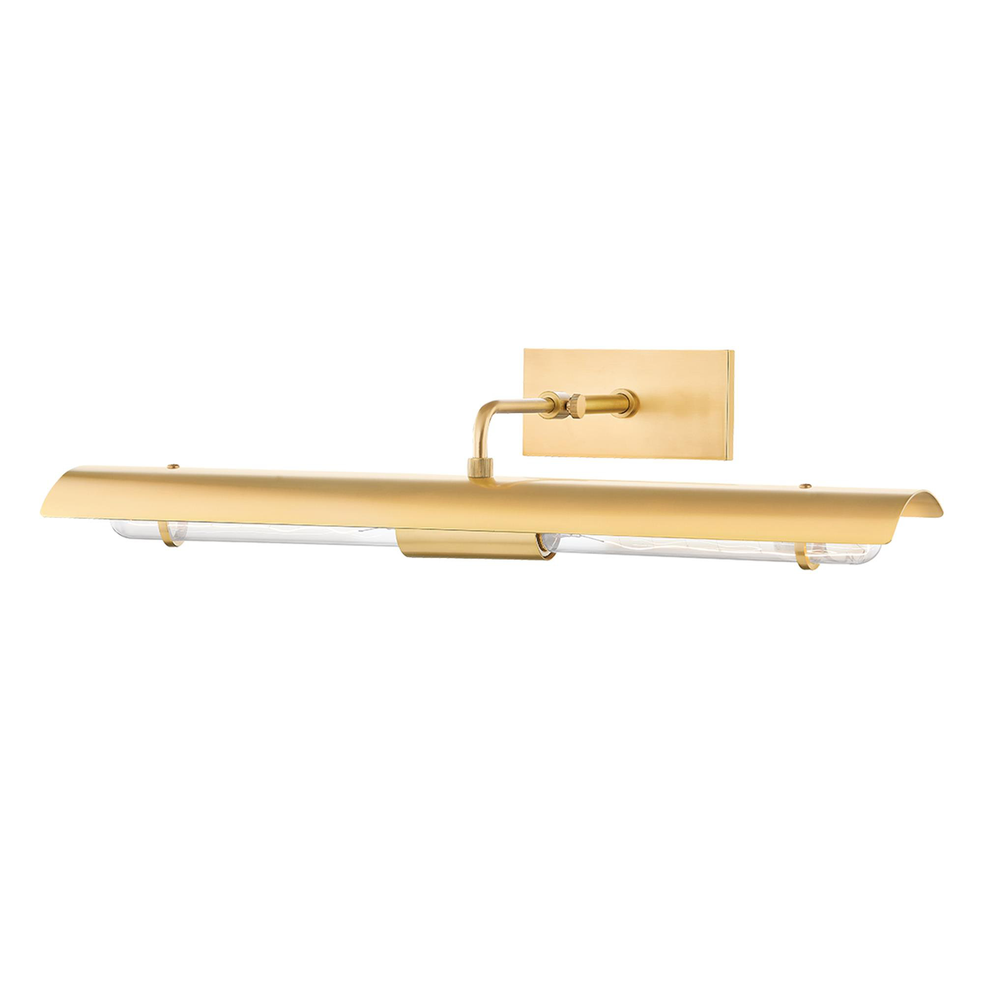 Raelynn 22 Inch Picture Light,