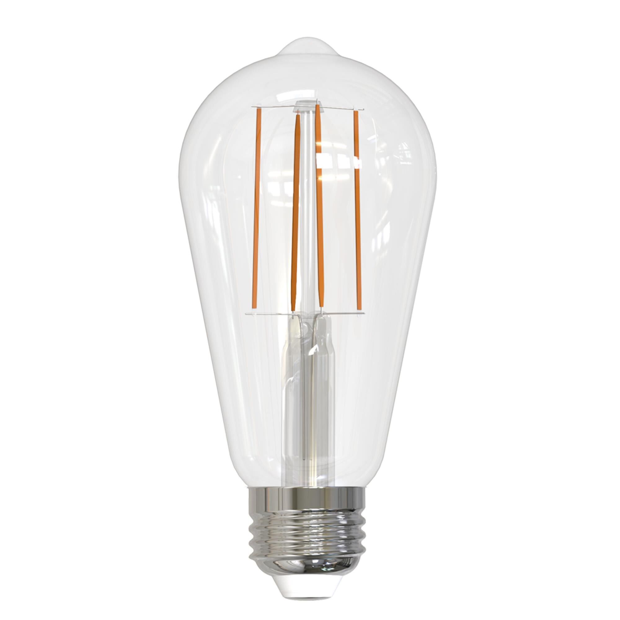 Clear ST18 Base E26 5000K LED Light Bulb by Bulbrite