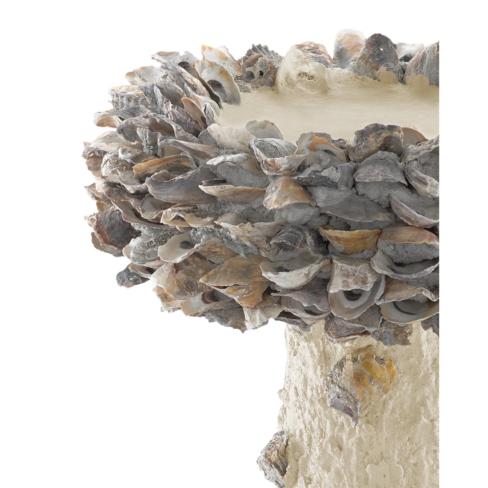Oyster Shell Medium Bird Bath Other Home Accent,