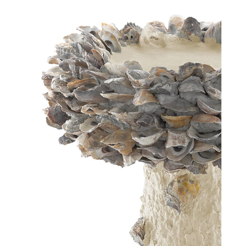 Oyster Shell Medium Bird Bath Other Home Accent by Currey and Company