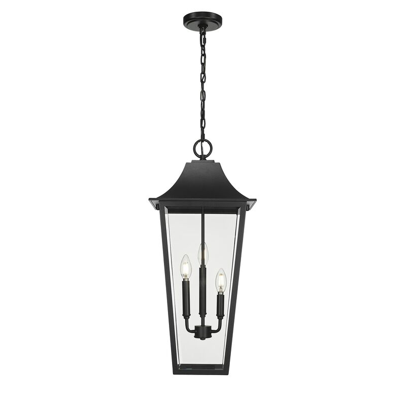 Gannon 12 Inch Outdoor Hanging Lantern by Z Lite