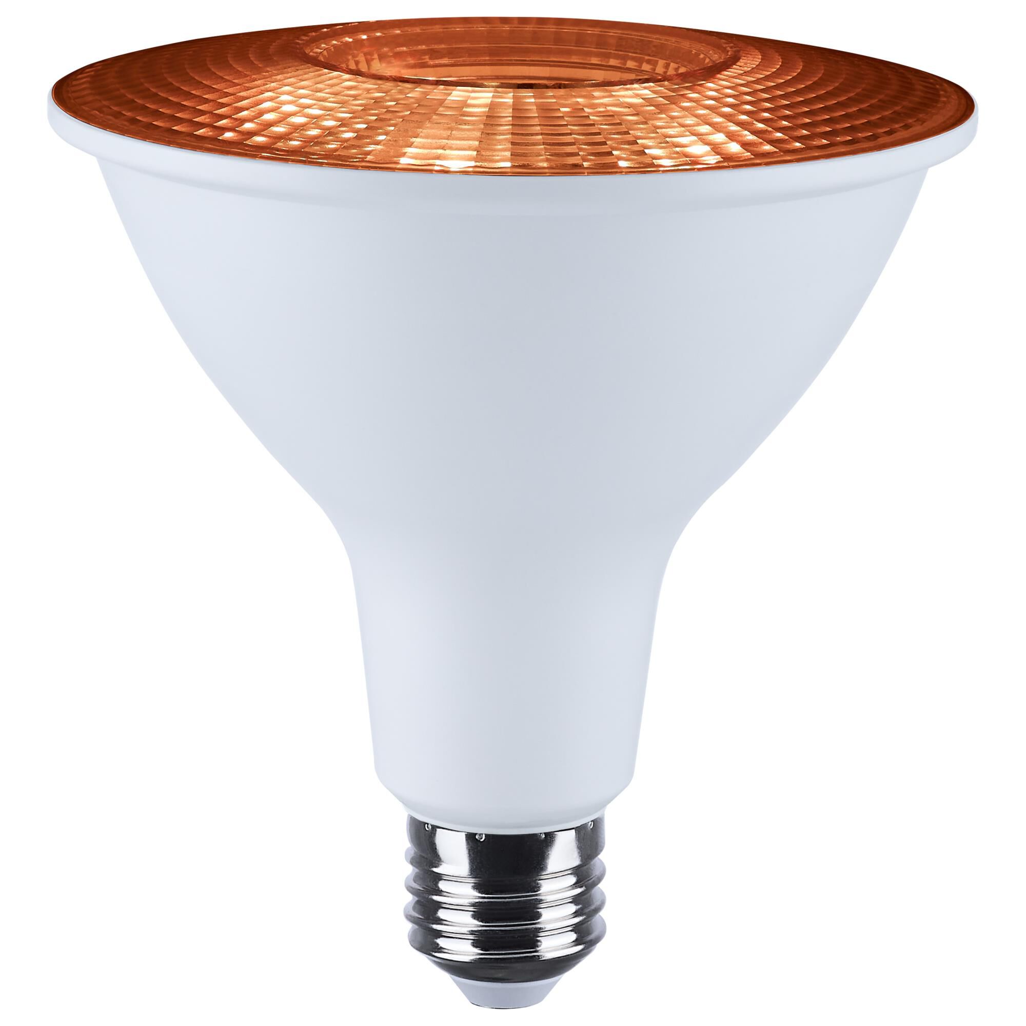 Dimmable 15 Watt 2700K PAR38 LED Light Bulb,