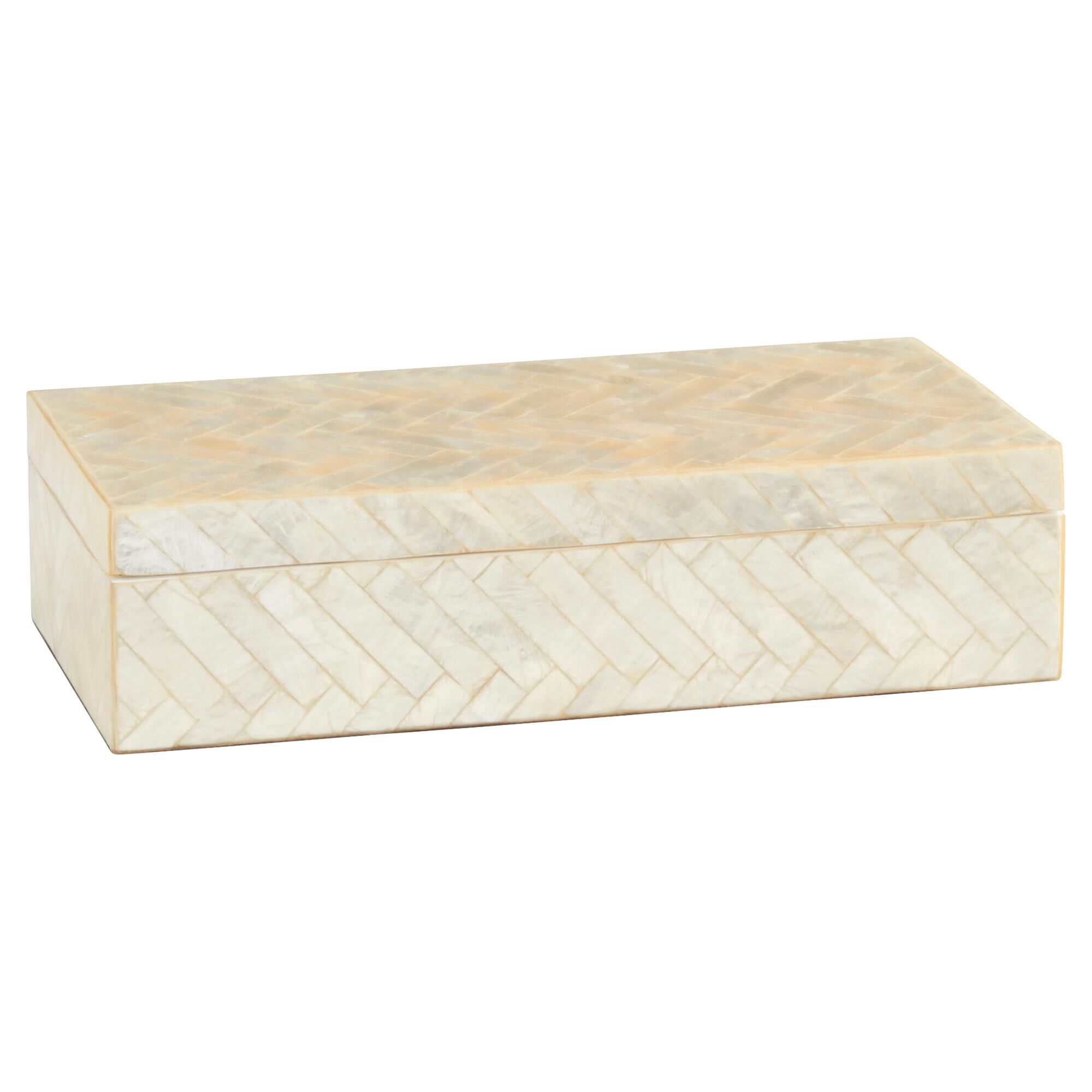 Triton 6 Inch Accent Box by Cyan Designs
