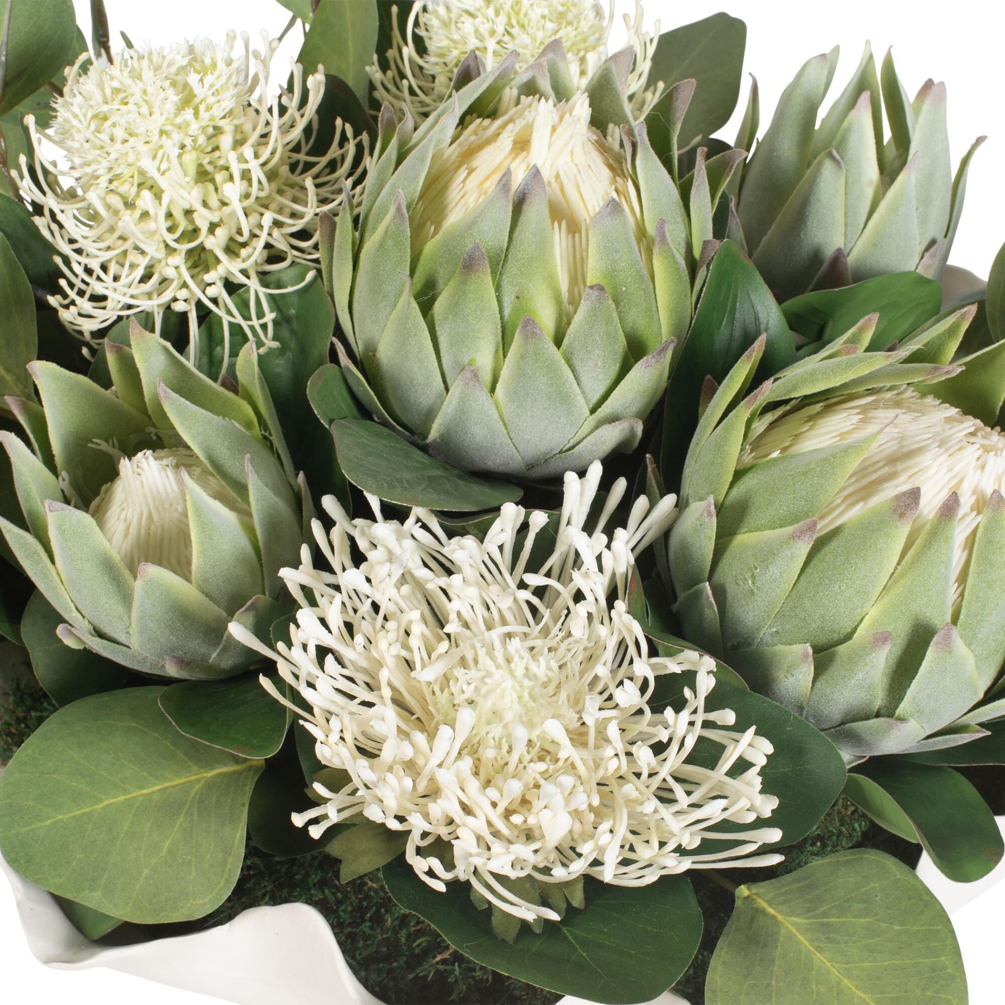 Protea Blooms Botanical by Uttermost