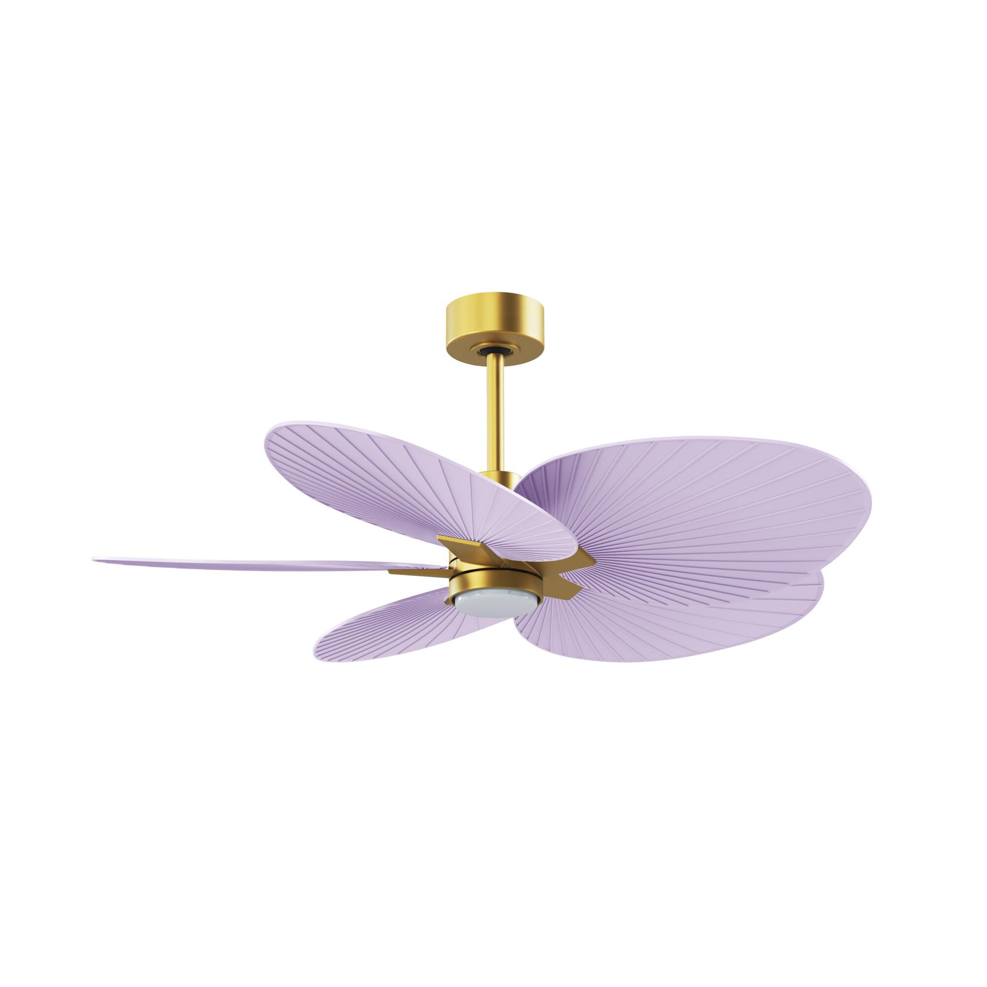 Alessandra Tropical Outdoor Rated 48 Inch Ceiling Fan with Light Kit by Matthews Fan Company