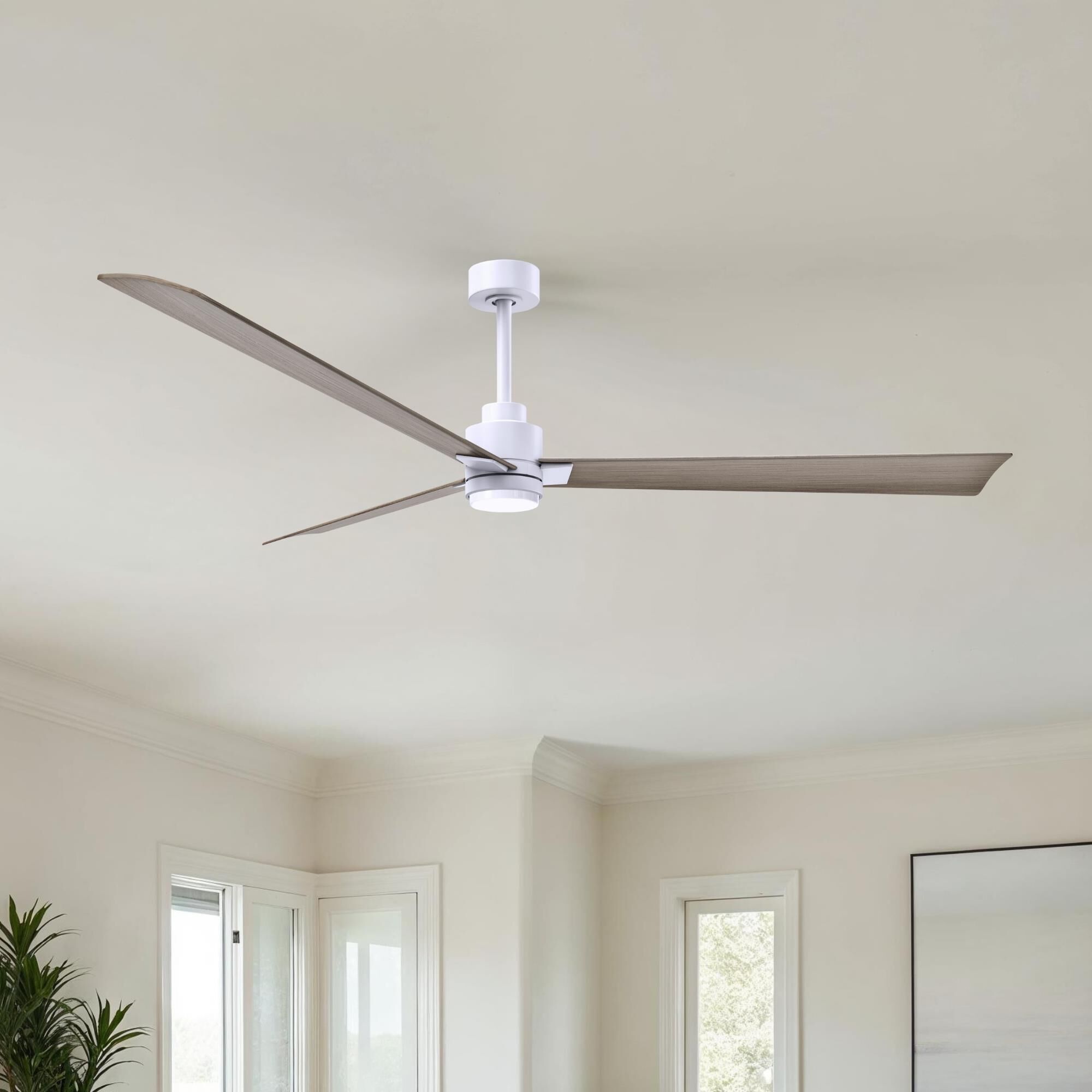 Alessandra 72 Inch Ceiling Fan by Matthews Fan Company