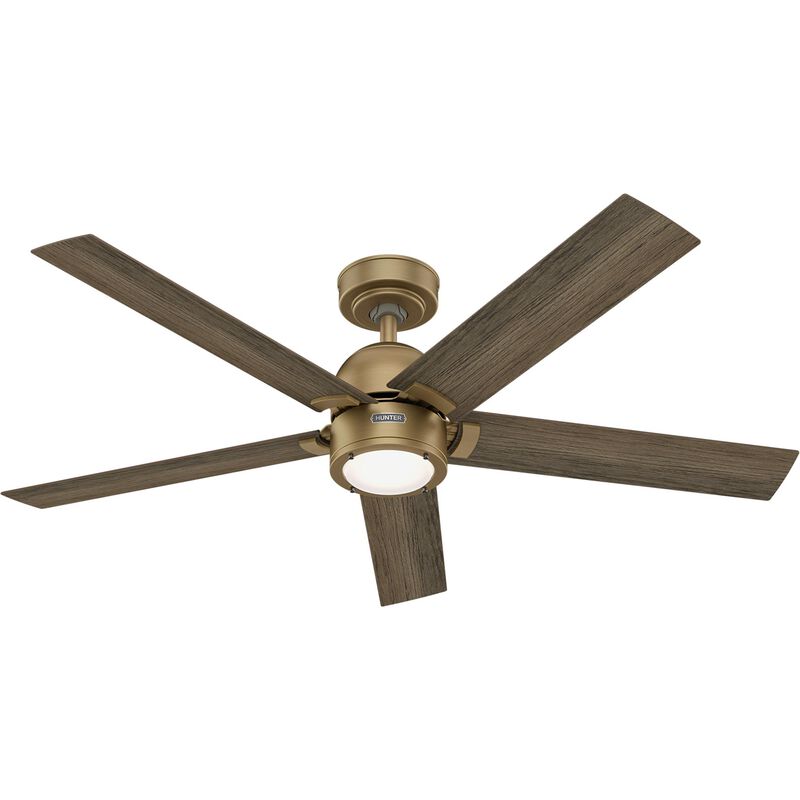Erling 52 Inch Ceiling Fan with Light Kit by Hunter Fan