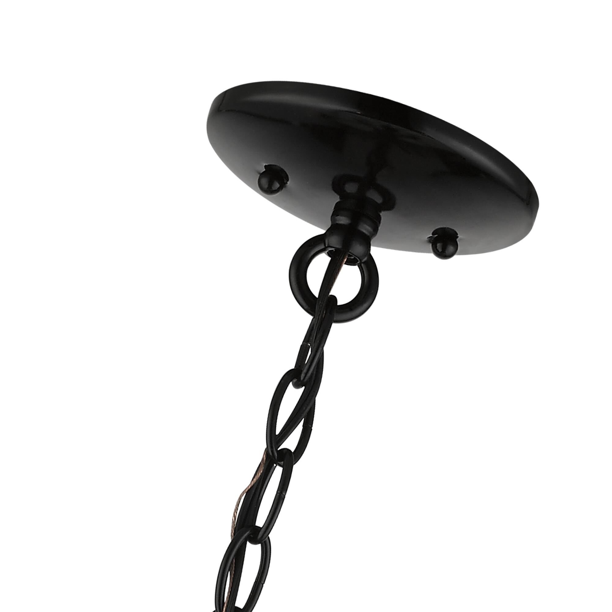 Shown in Shiny Black with Polished Chrome Accents finish