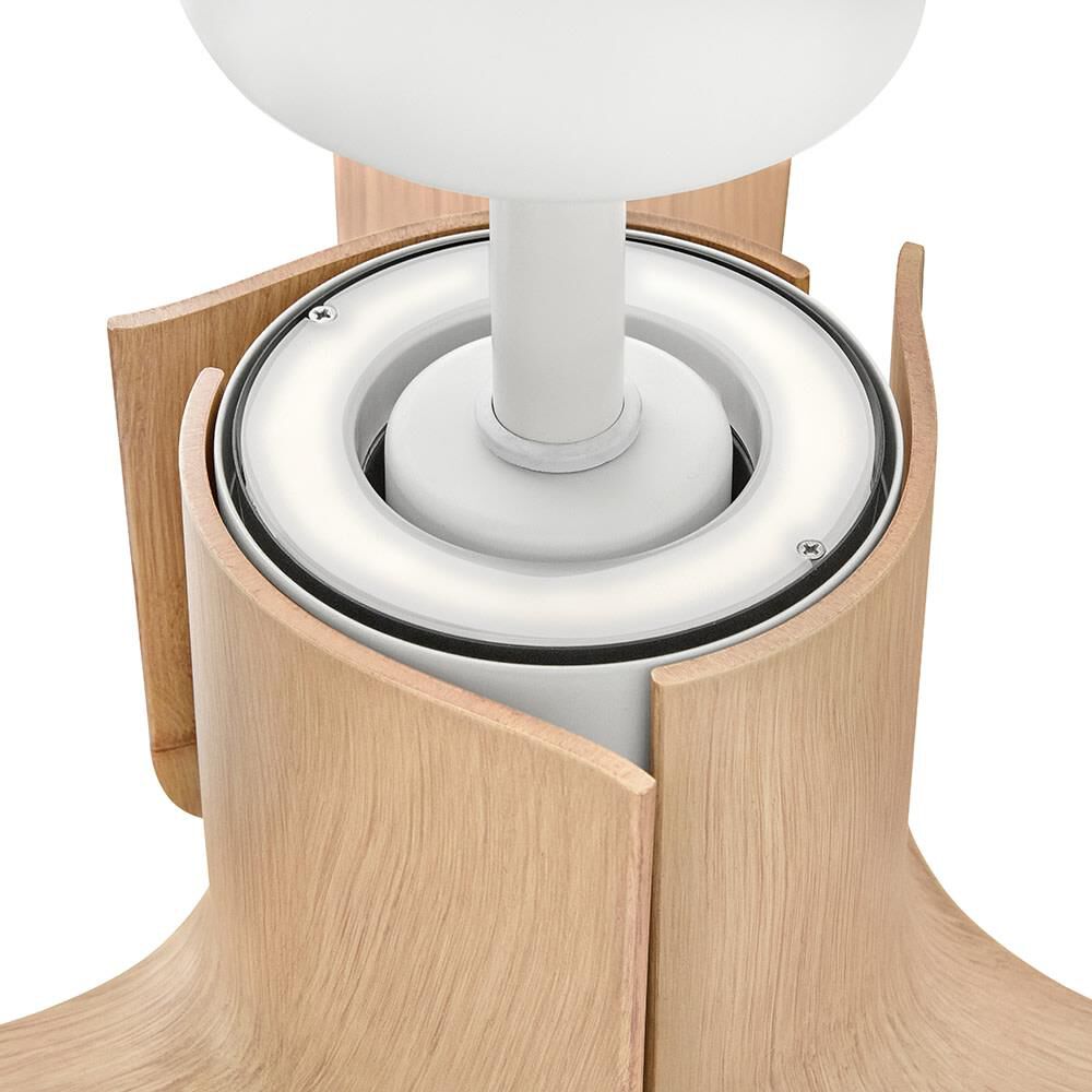 Sven 54 Inch Ceiling Fan by Hinkley Fans