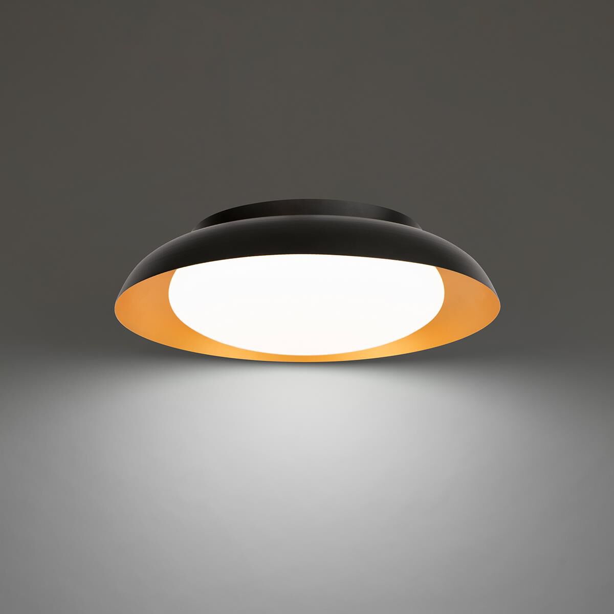 Taurus 17 Inch 1 Light LED Flush Mount by dweLED