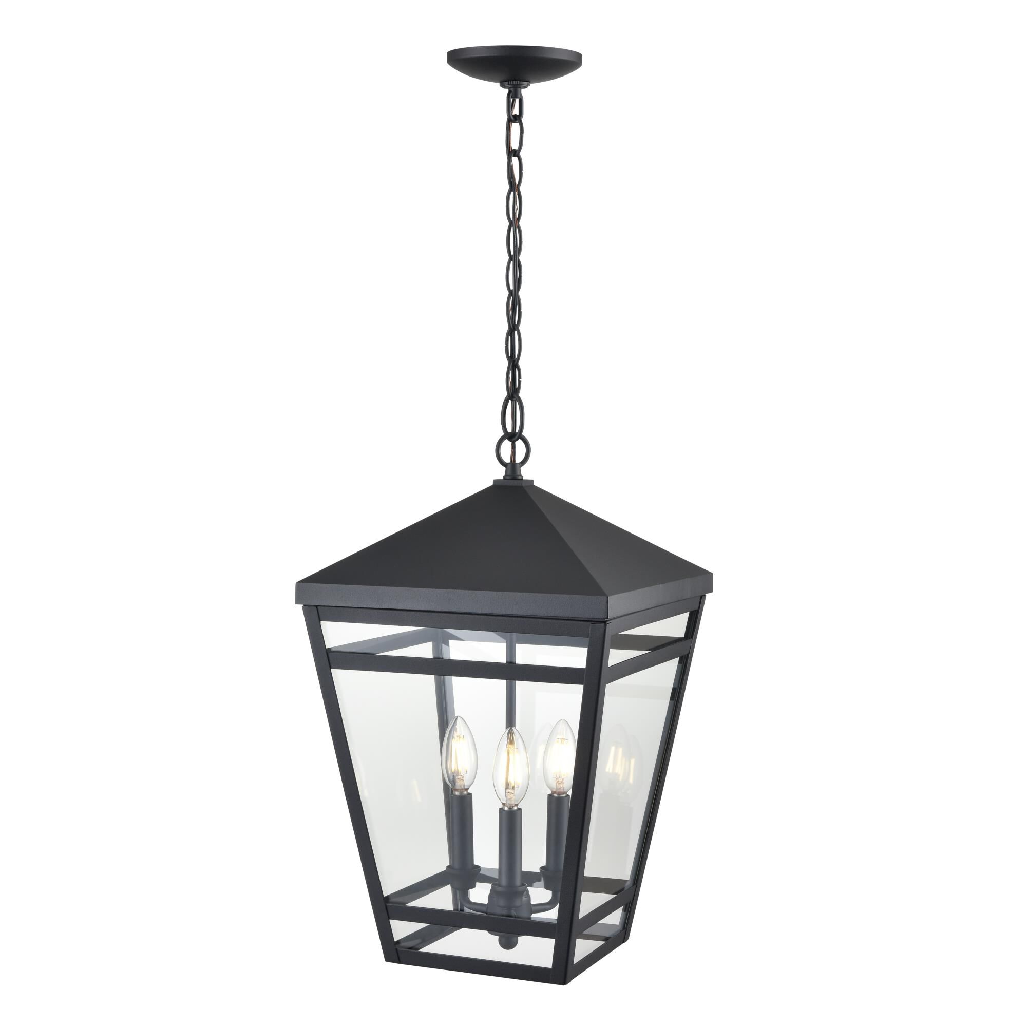 Seager 12 Inch Outdoor Hanging Lantern by Millenium Lighting
