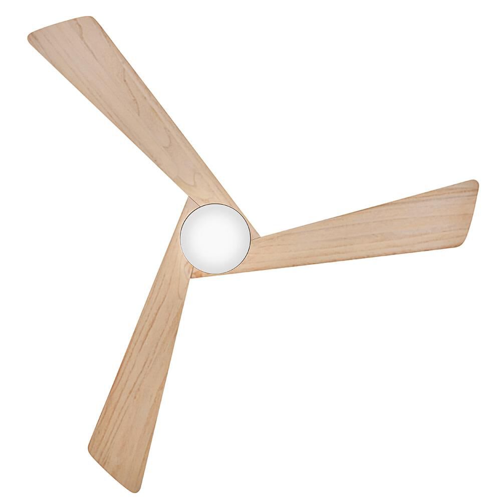 Sculpt 60 Inch Ceiling Fan by Hinkley Fans