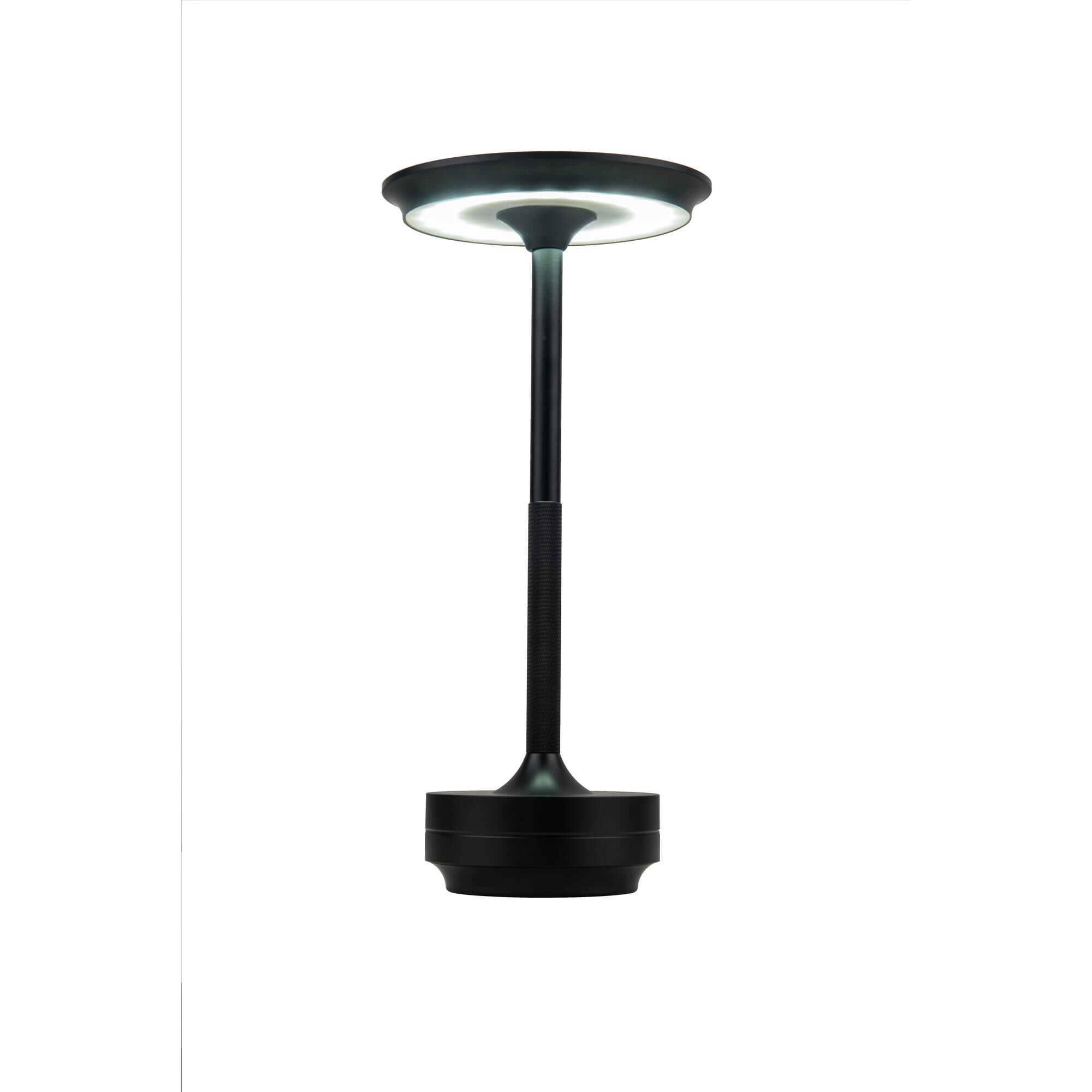Rikki Small Table Lamp,