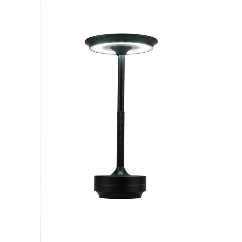 Rikki Small Table Lamp by Craftmade