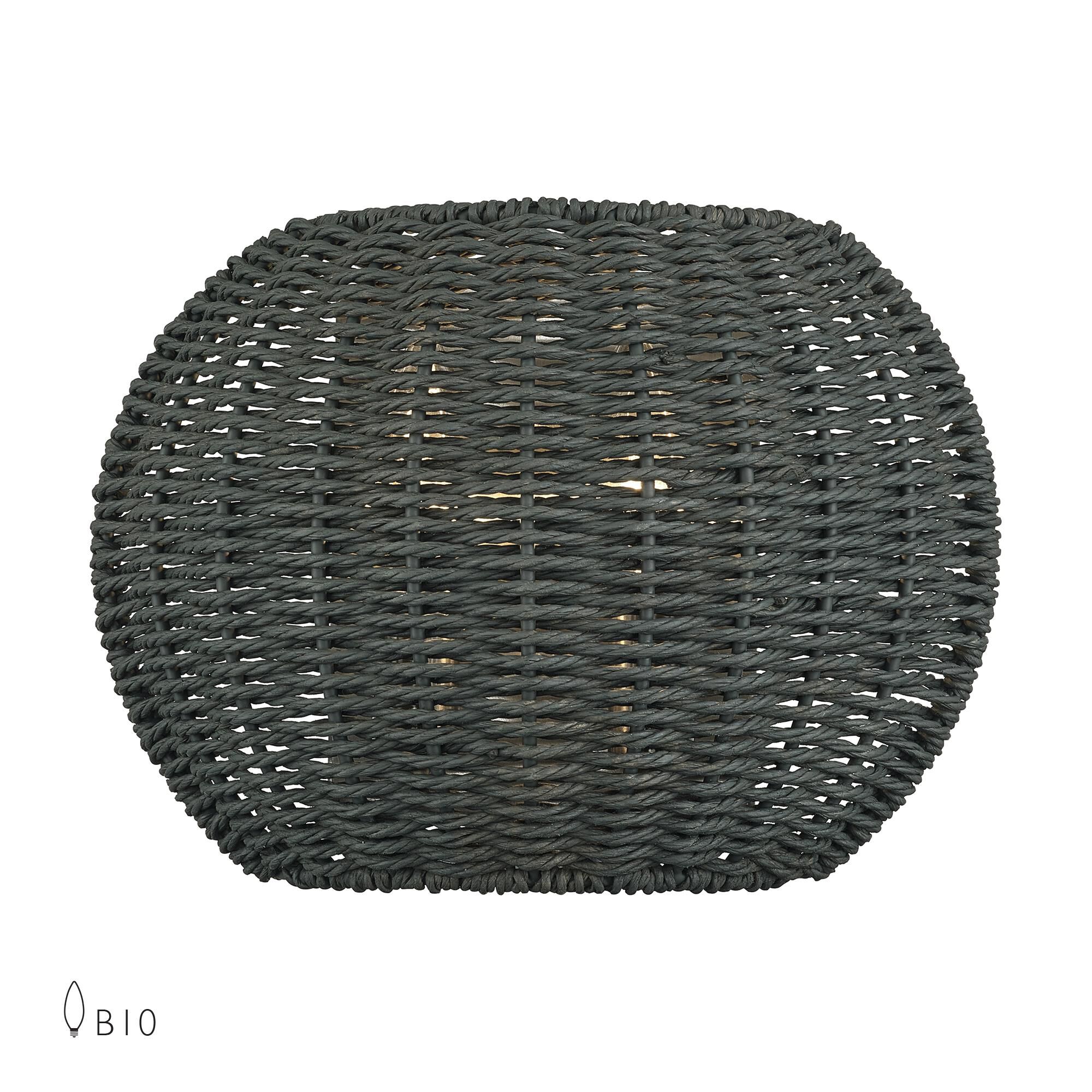 Deluna 8 Inch Wall Sconce by Livex Lighting