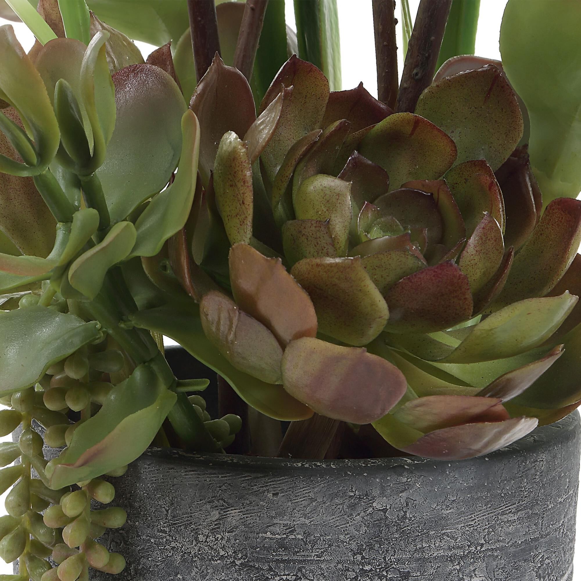 Constance Lael-Linyard Eterna Orchid Botanical by Uttermost