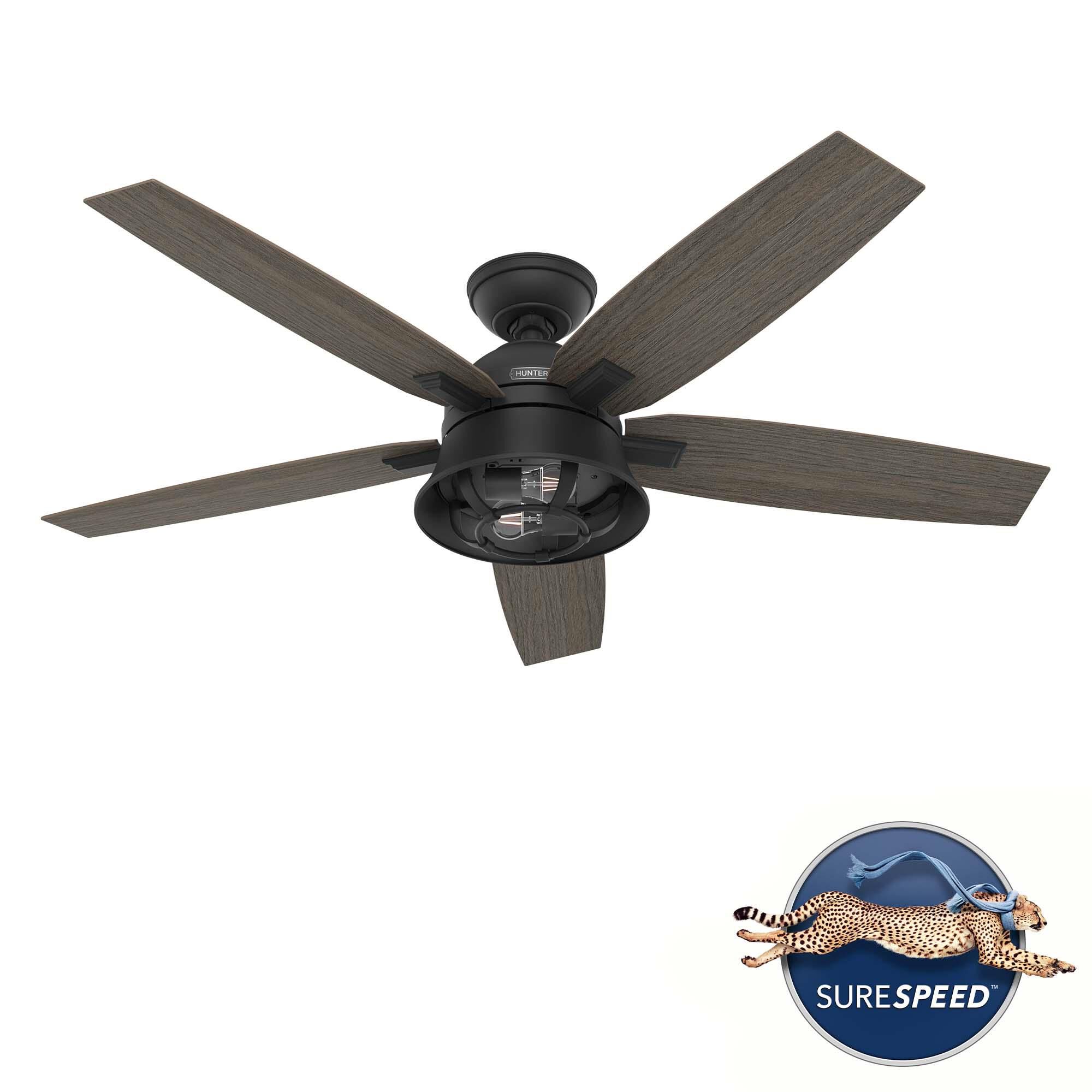 Hampshire 52 Inch Ceiling Fan with Light Kit by Hunter Fan