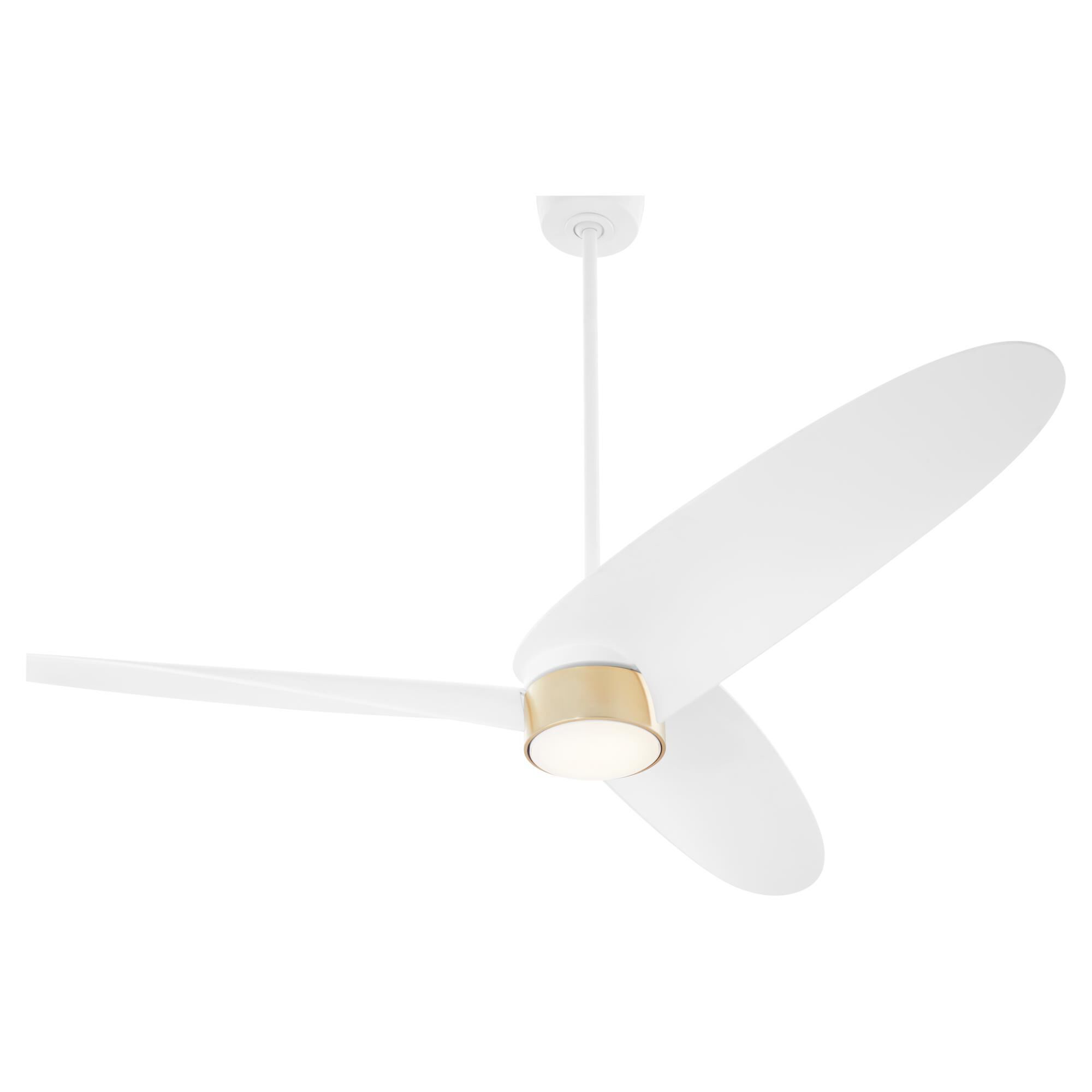 Brisa 60 Inch Ceiling Fan by Quorum International
