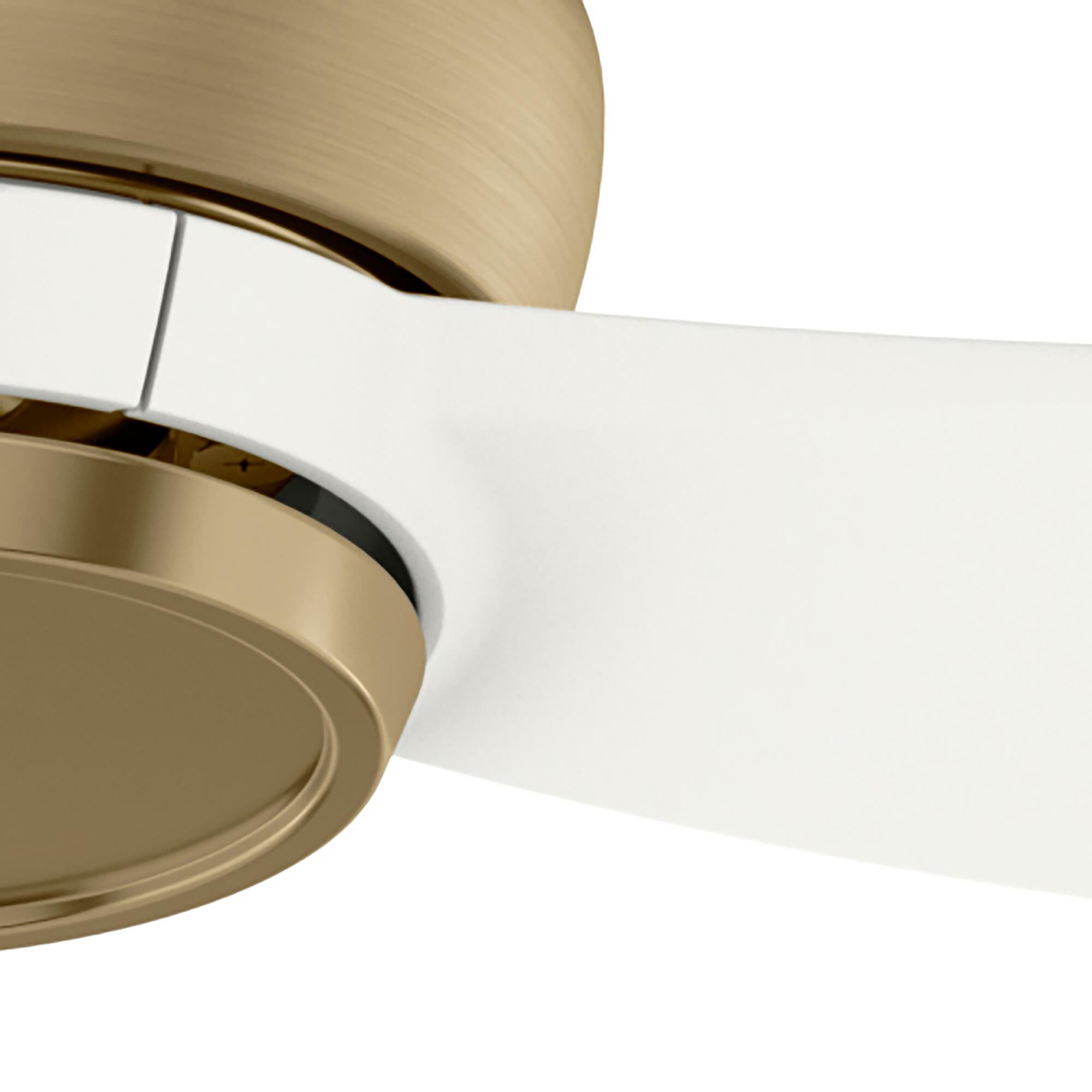 Eyla 52 Inch Ceiling Fan by Casablanca Fan Company