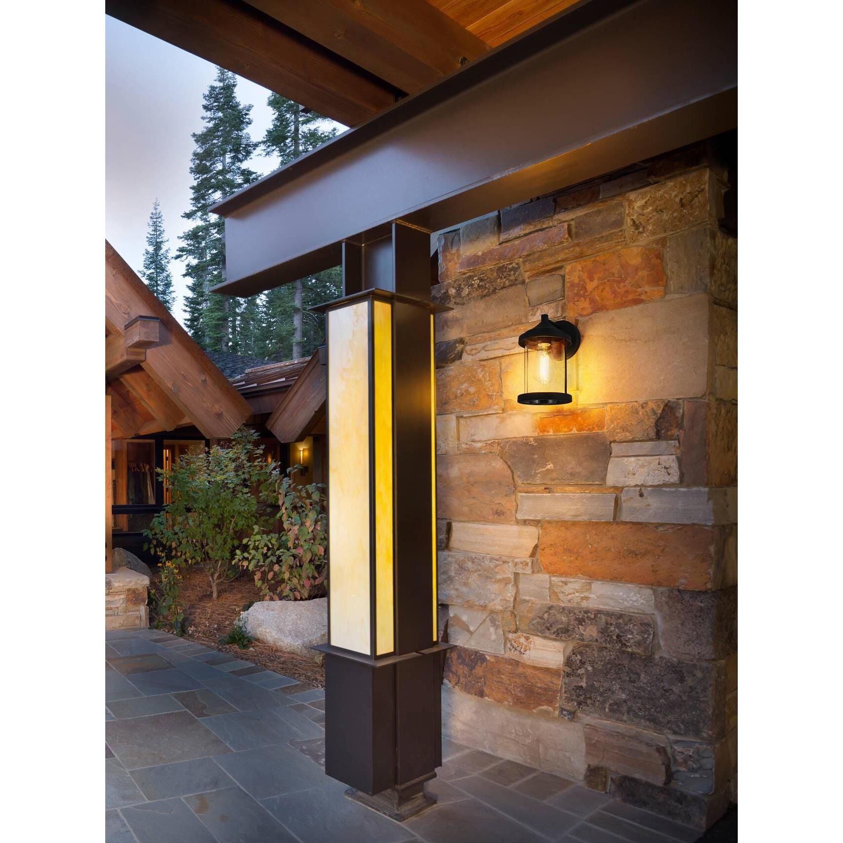Roy 10 Inch Outdoor Wall Light by Elegant Lighting