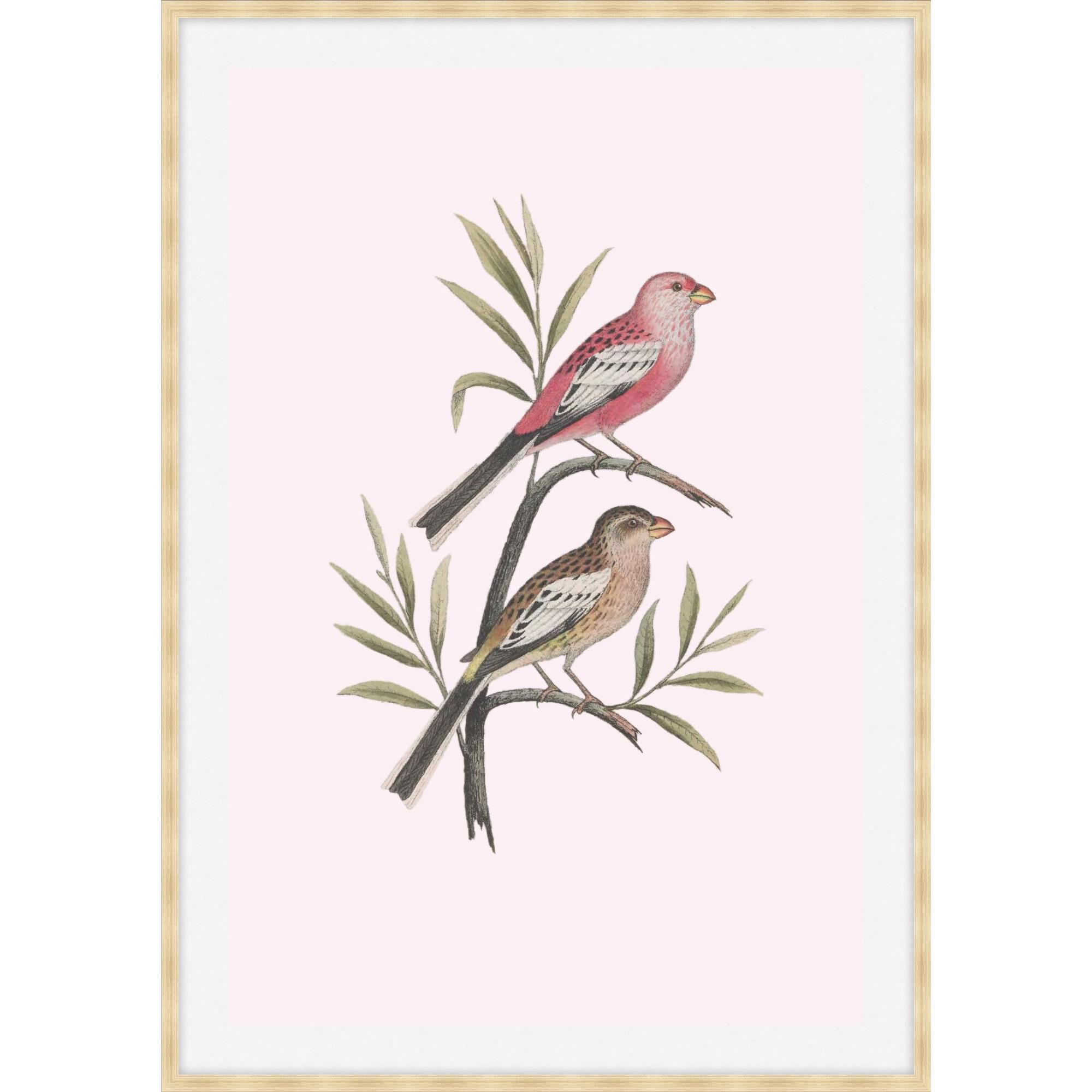 Nesting Navigators Pink Print by LEVEL57