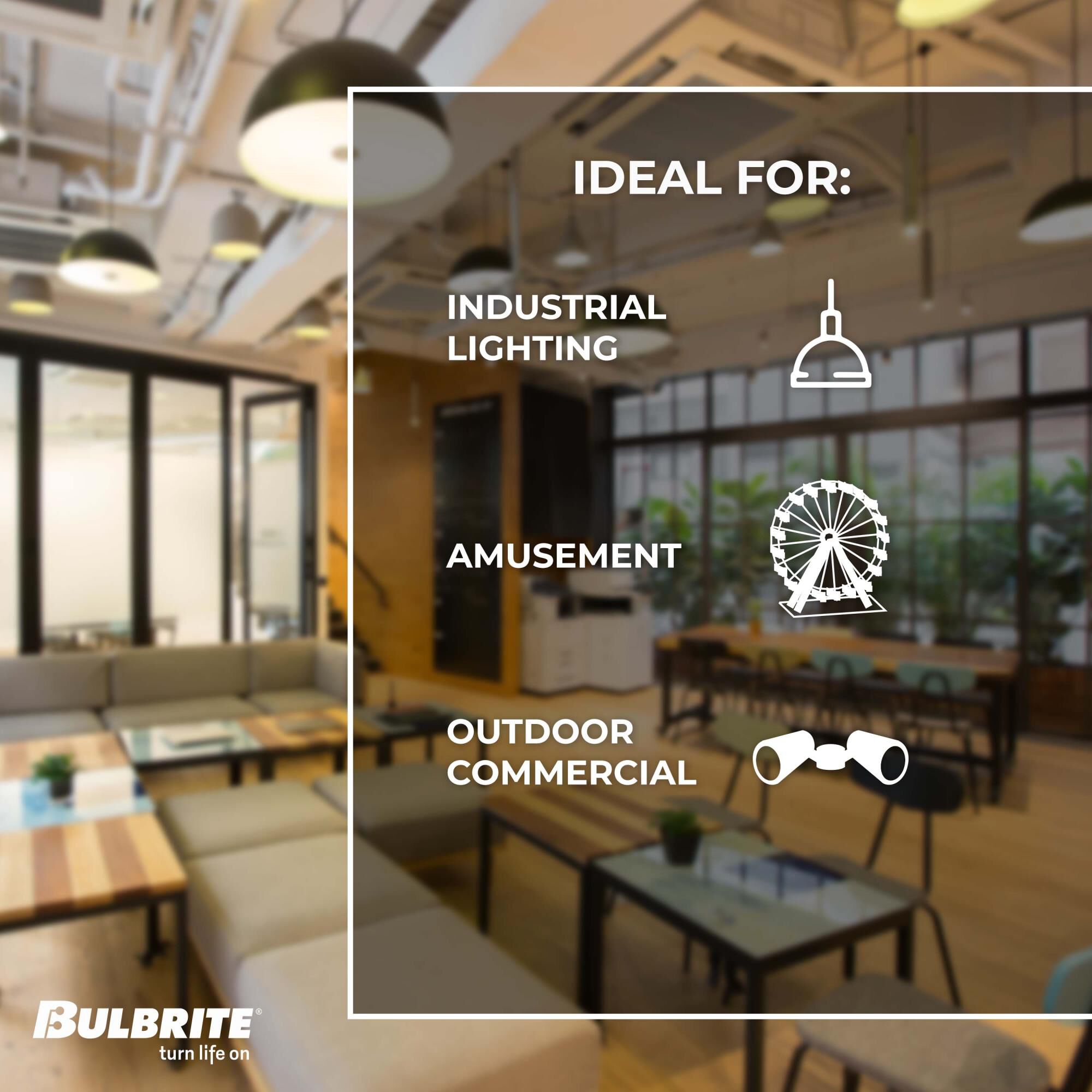 Dimmable 7 Watt 3000K PAR20 LED Light Bulb by Bulbrite