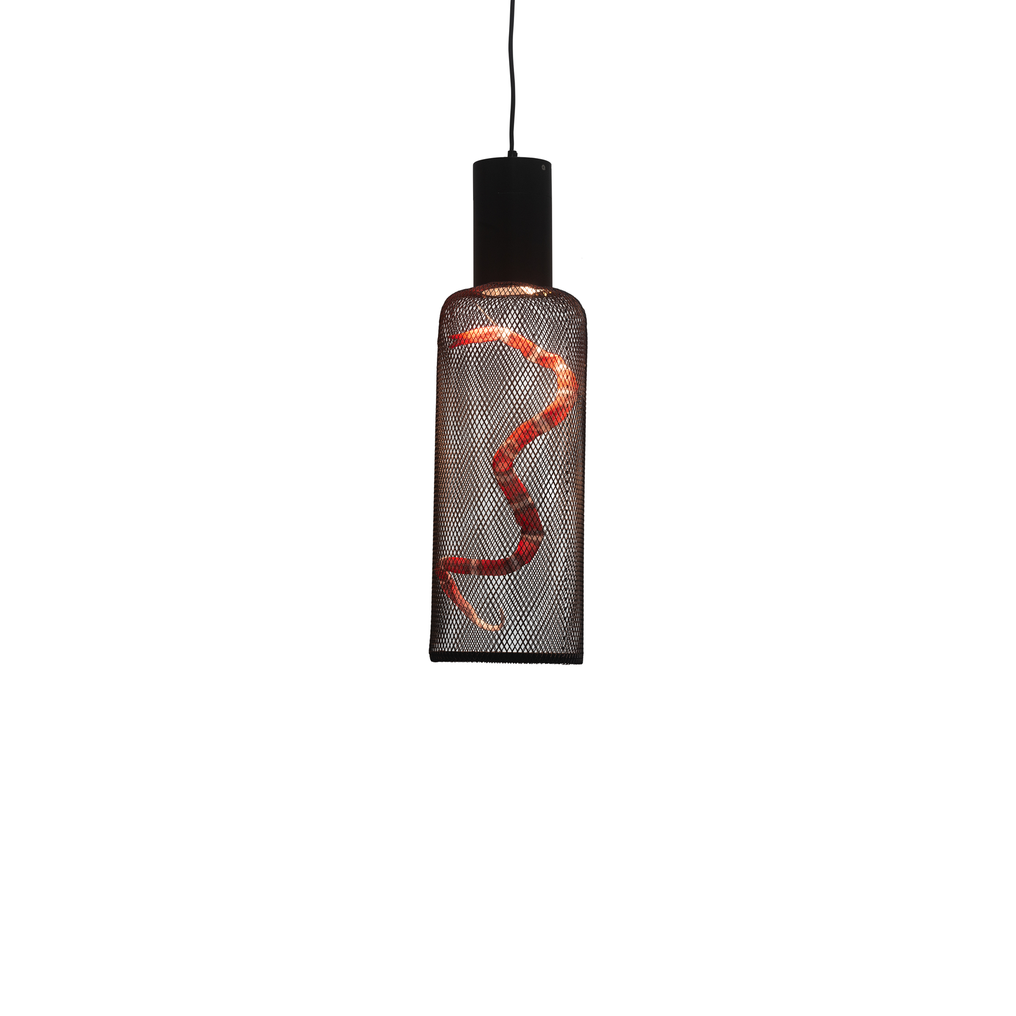 Curio 27 Inch Mini Pendant,