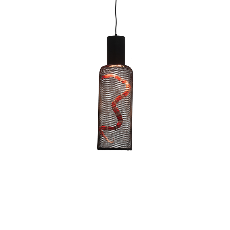 Curio 27 Inch Mini Pendant by Kenneth Cobonpue