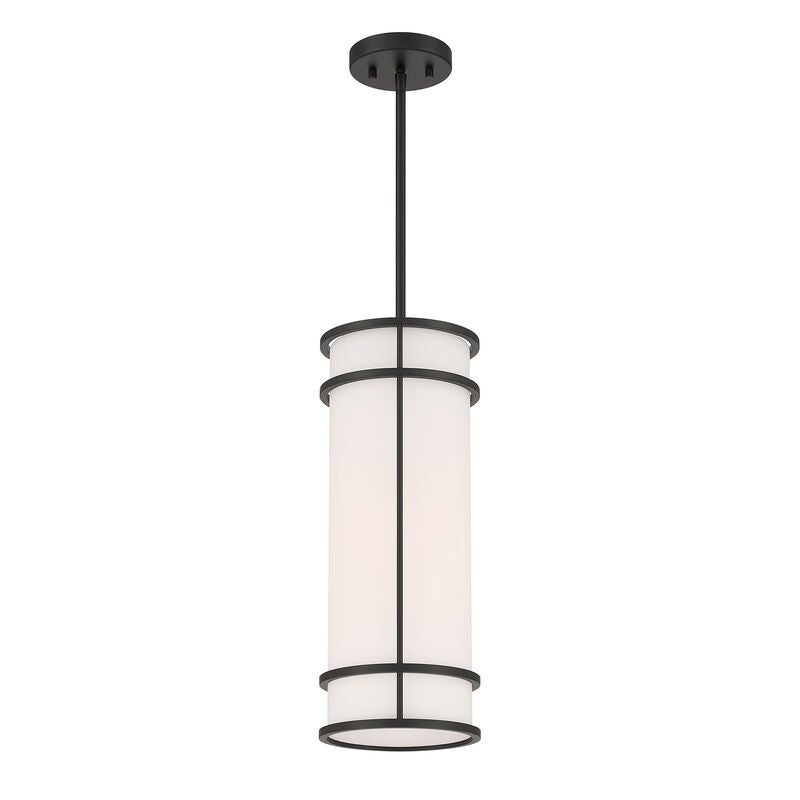 Porter 20 Inch Mini Pendant by Savoy House