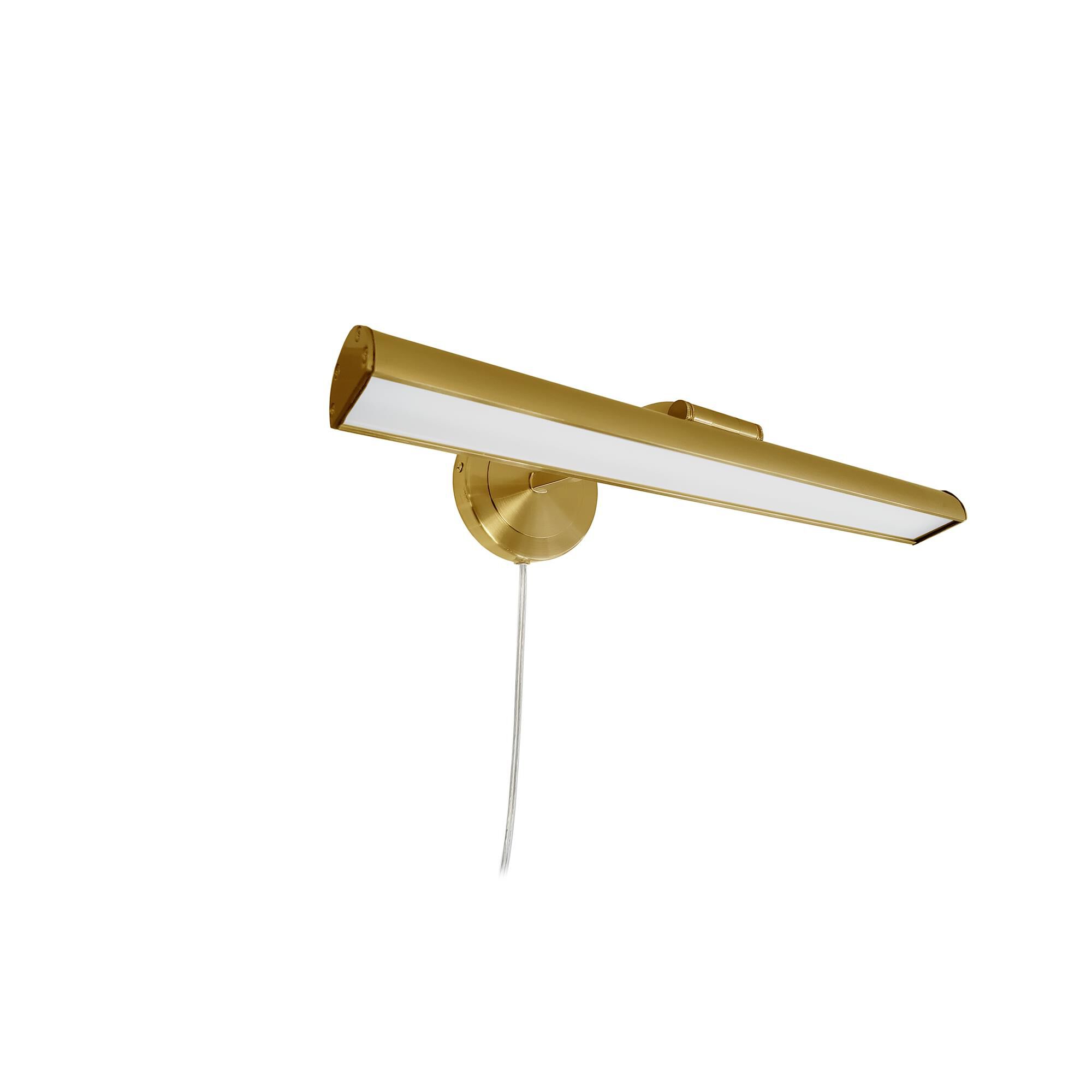 Reina 16 Inch Picture and Display Light by Dainolite