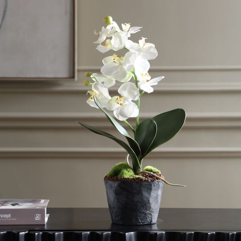 Laris Botanical by Uttermost