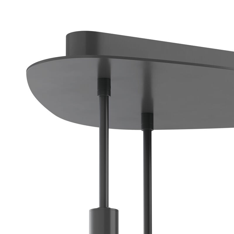 Rhoads 24 Inch Multi Light Pendant by Regina Andrew