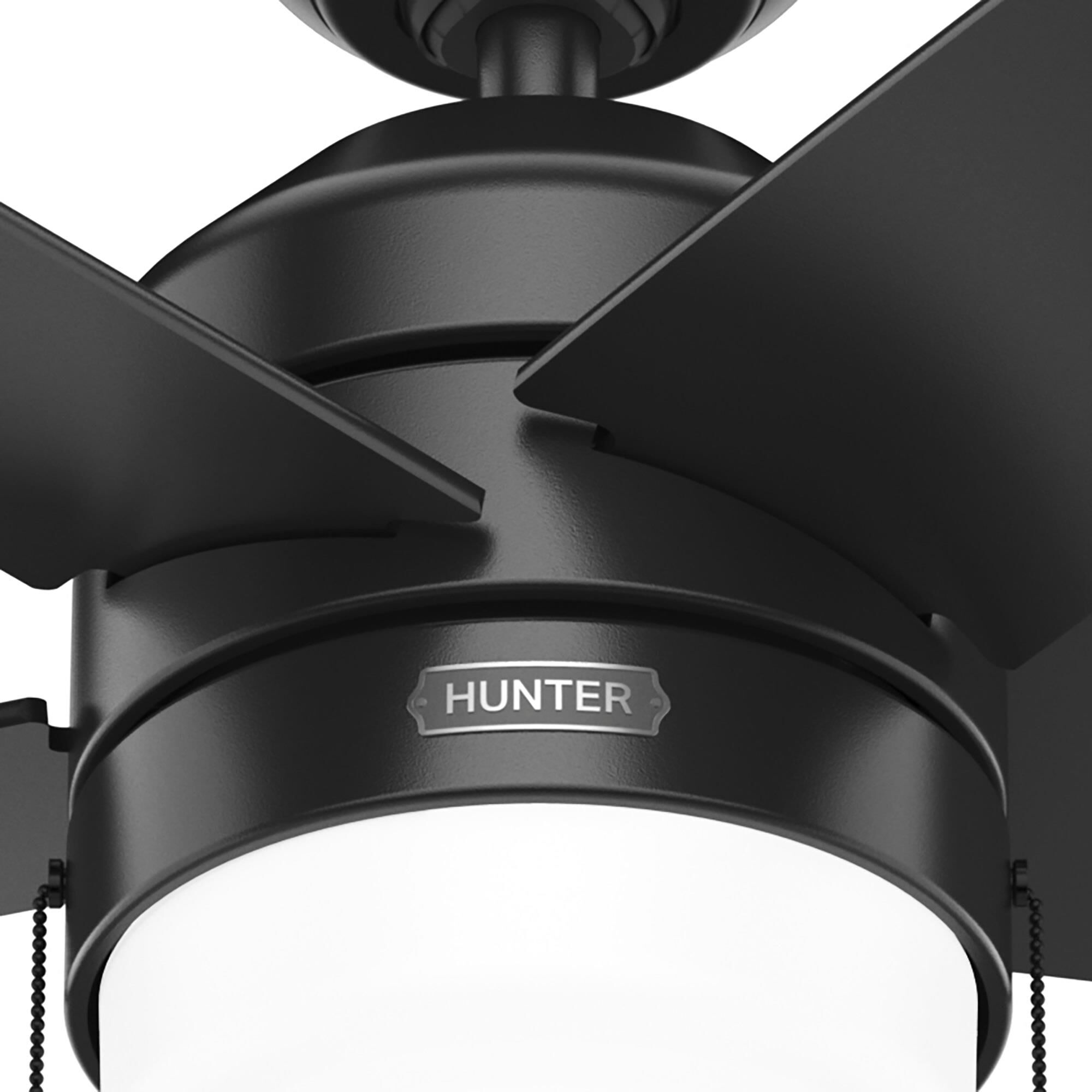 Bardot 44 Inch Ceiling Fan with Light Kit by Hunter Fan