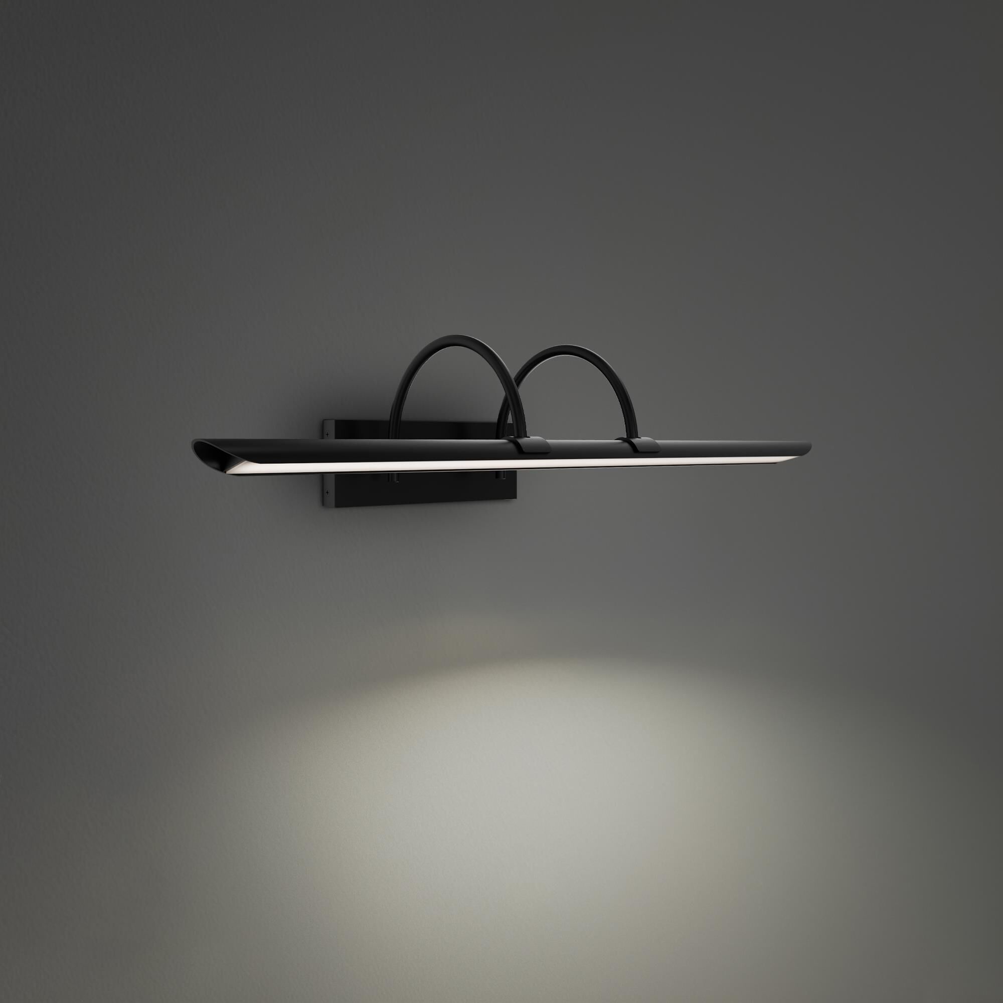 Ansel 24 Inch Picture and Display Light by Modern Forms